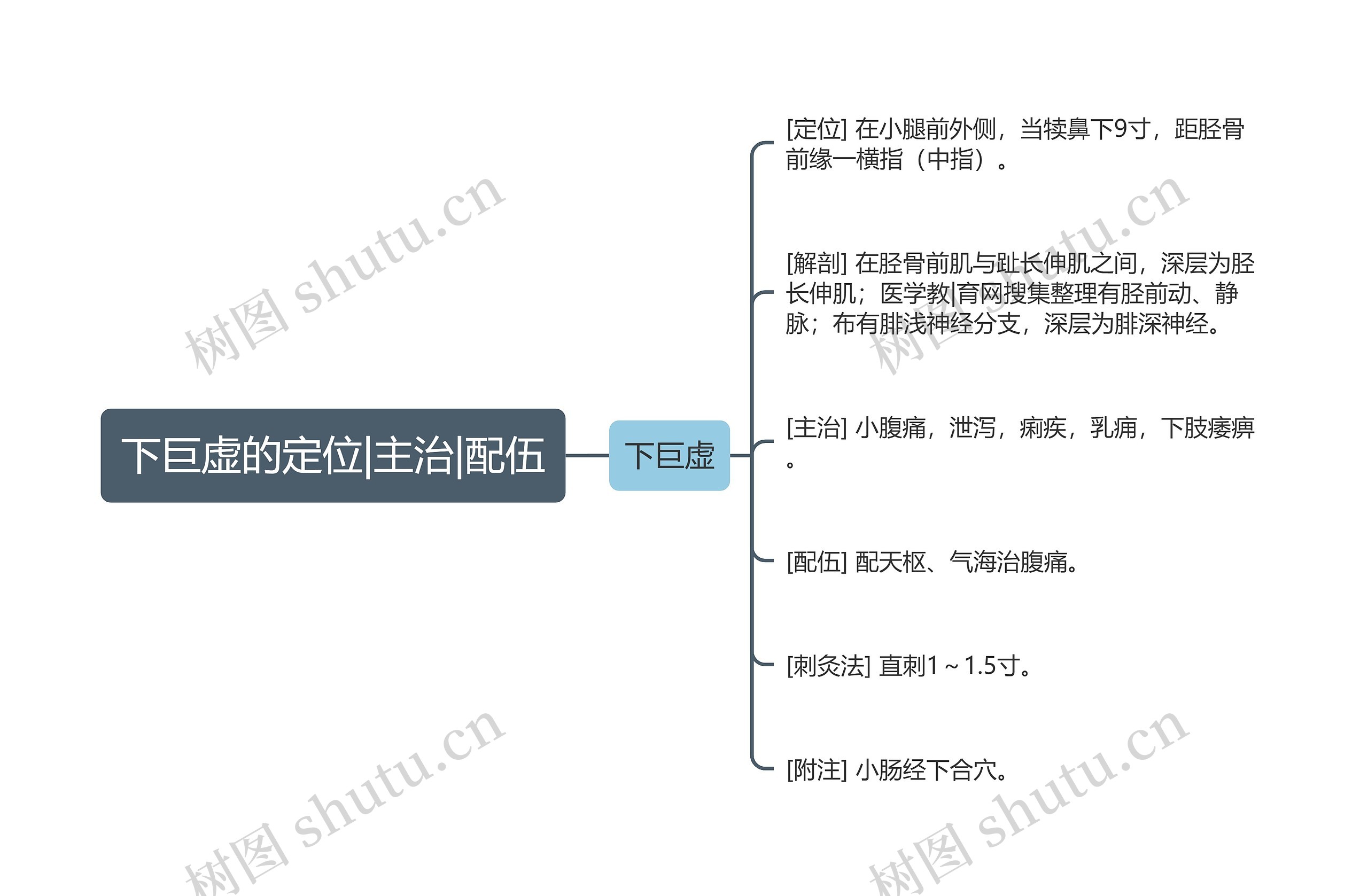 下巨虚的定位|主治|配伍