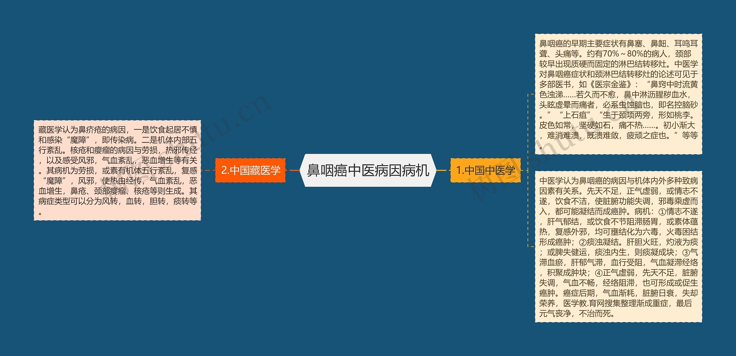 鼻咽癌中医病因病机思维导图