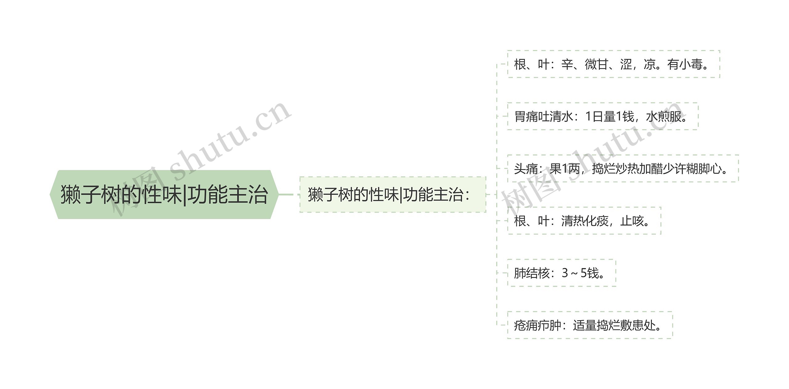 獭子树的性味|功能主治思维导图