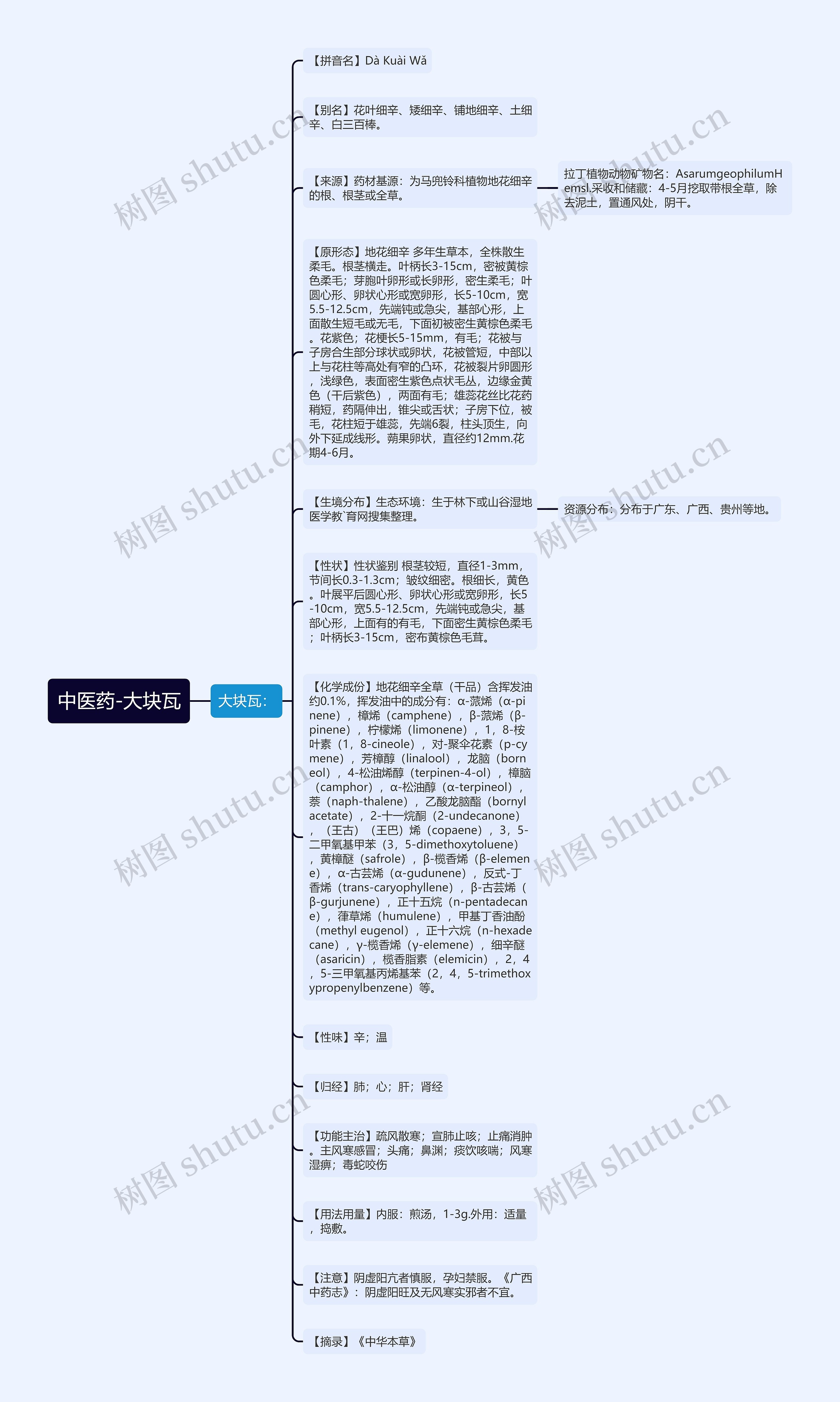 中医药-大块瓦思维导图