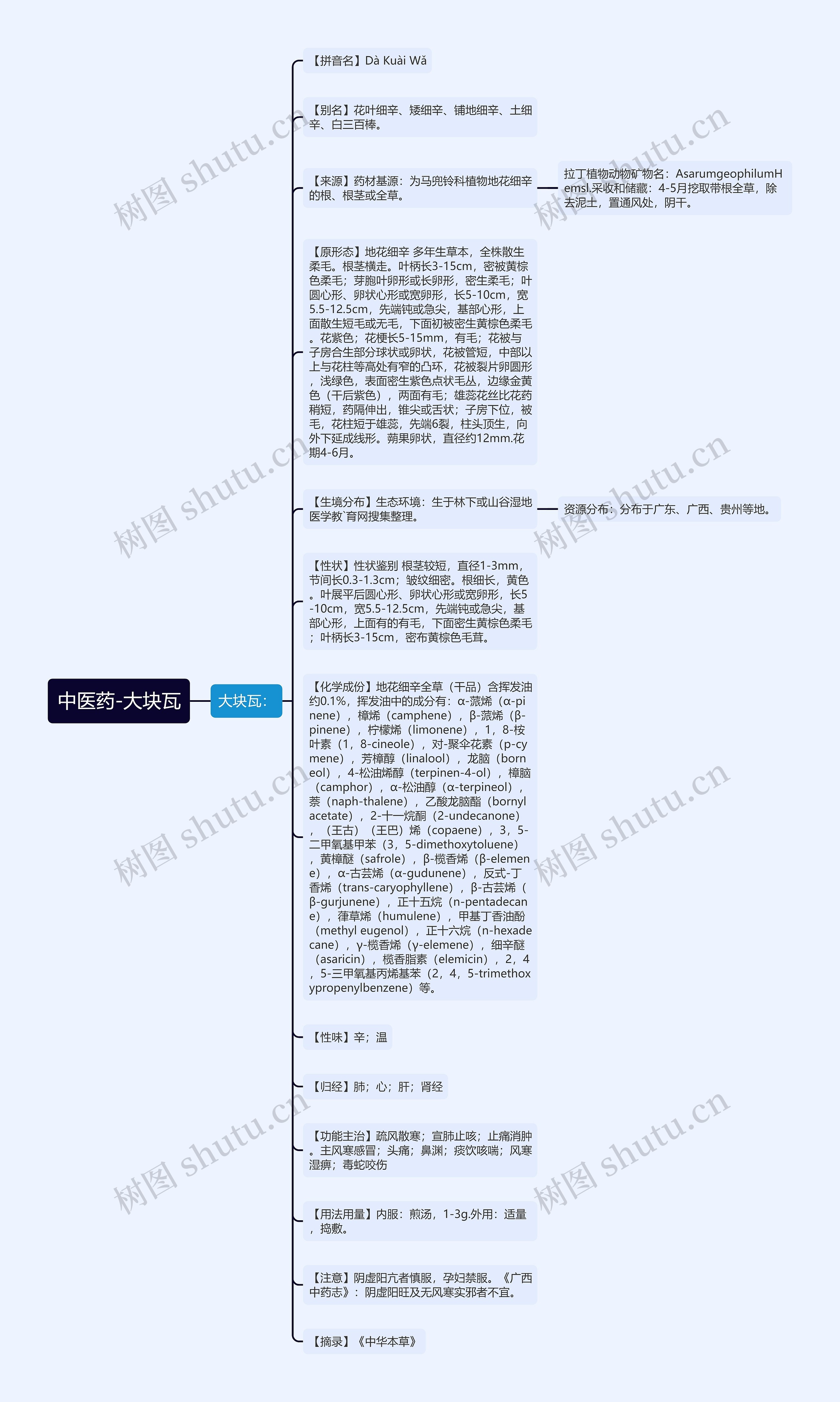 中医药-大块瓦思维导图高清图 中医药-大块瓦思维导图