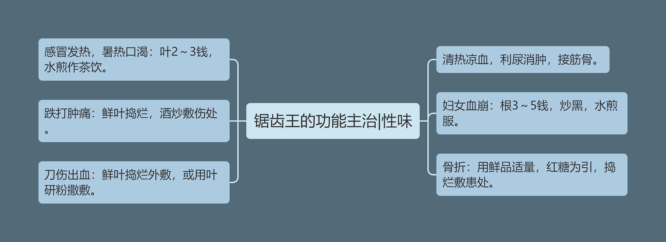 锯齿王的功能主治|性味 锯齿王的功能主治|性味