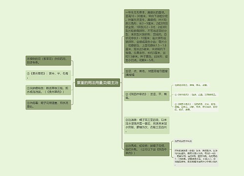 紫堇的用法用量|功能主治