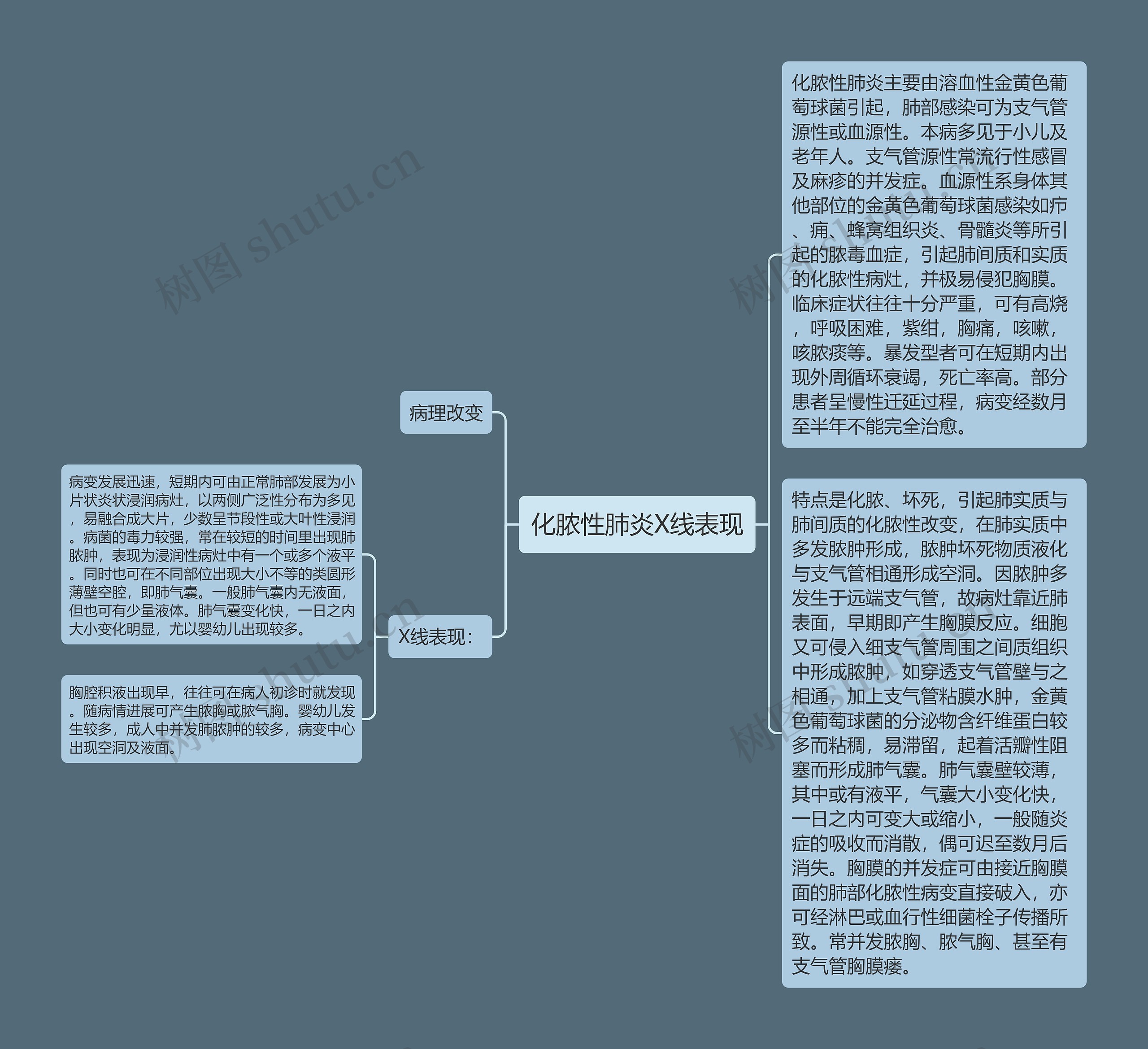 化脓性肺炎X线表现