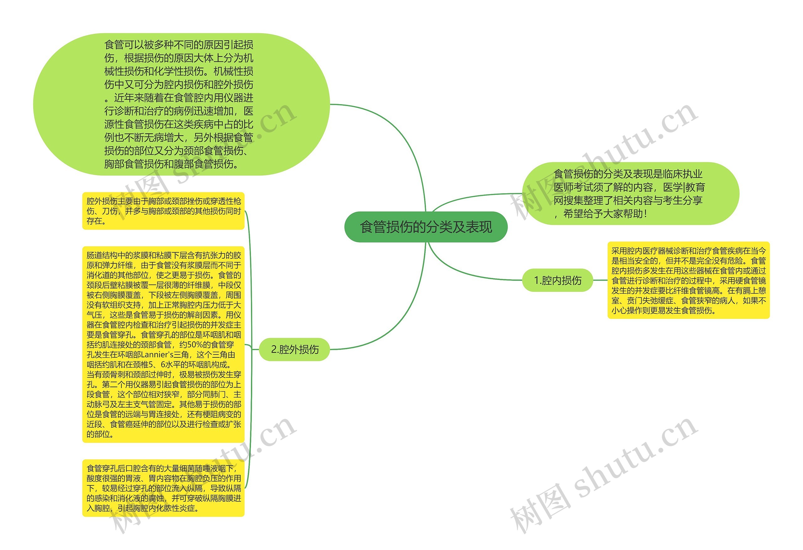 食管损伤的分类及表现思维导图