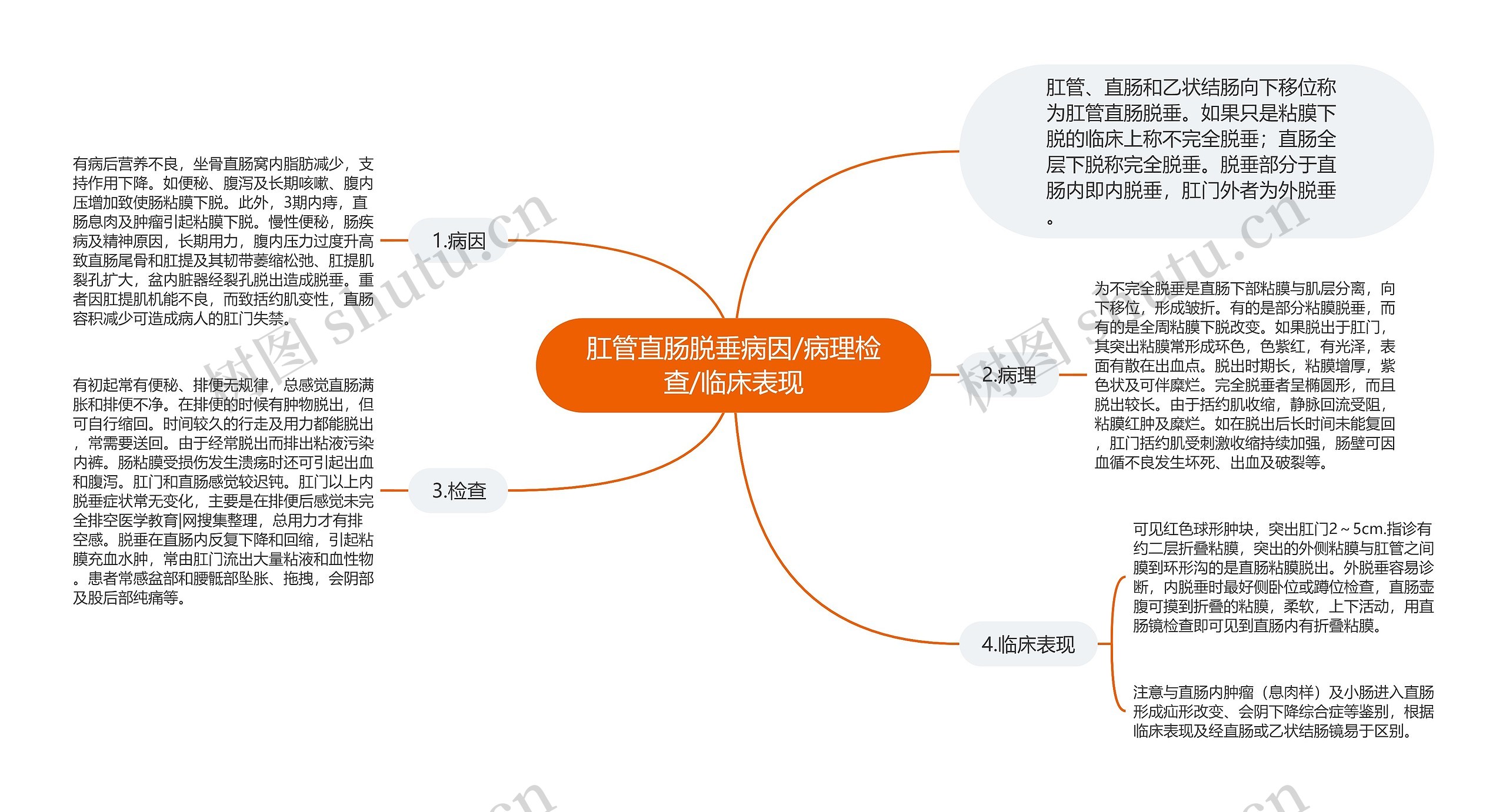 肛管直肠脱垂病因/病理检查/临床表现