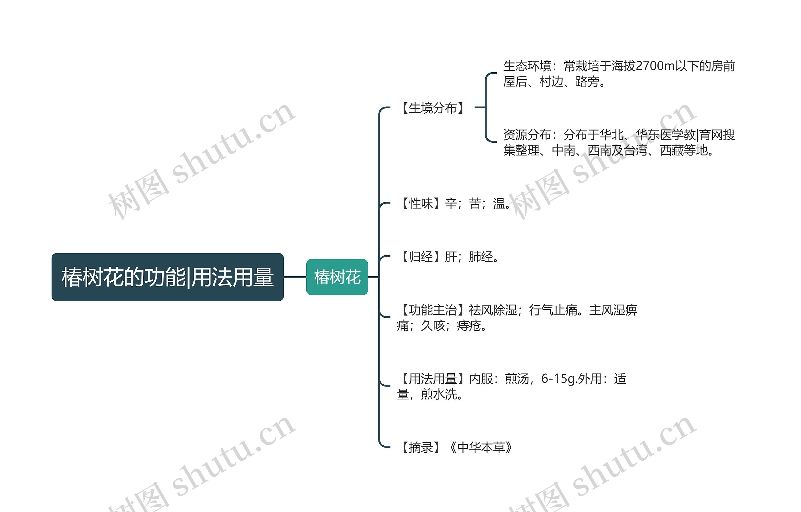 椿树花的功能|用法用量