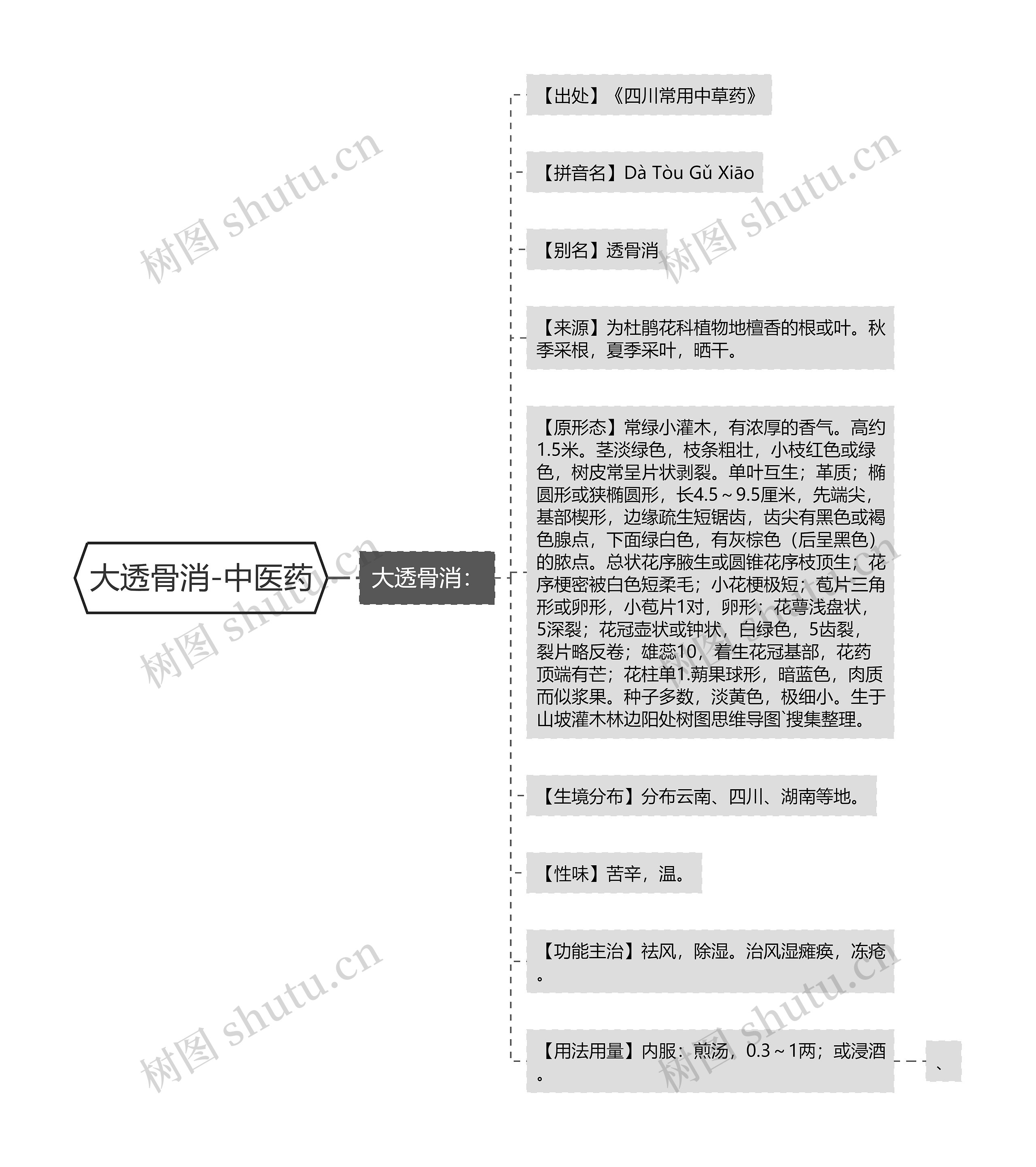 大透骨消-中医药思维导图