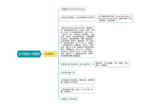 长毛柃叶-中医药