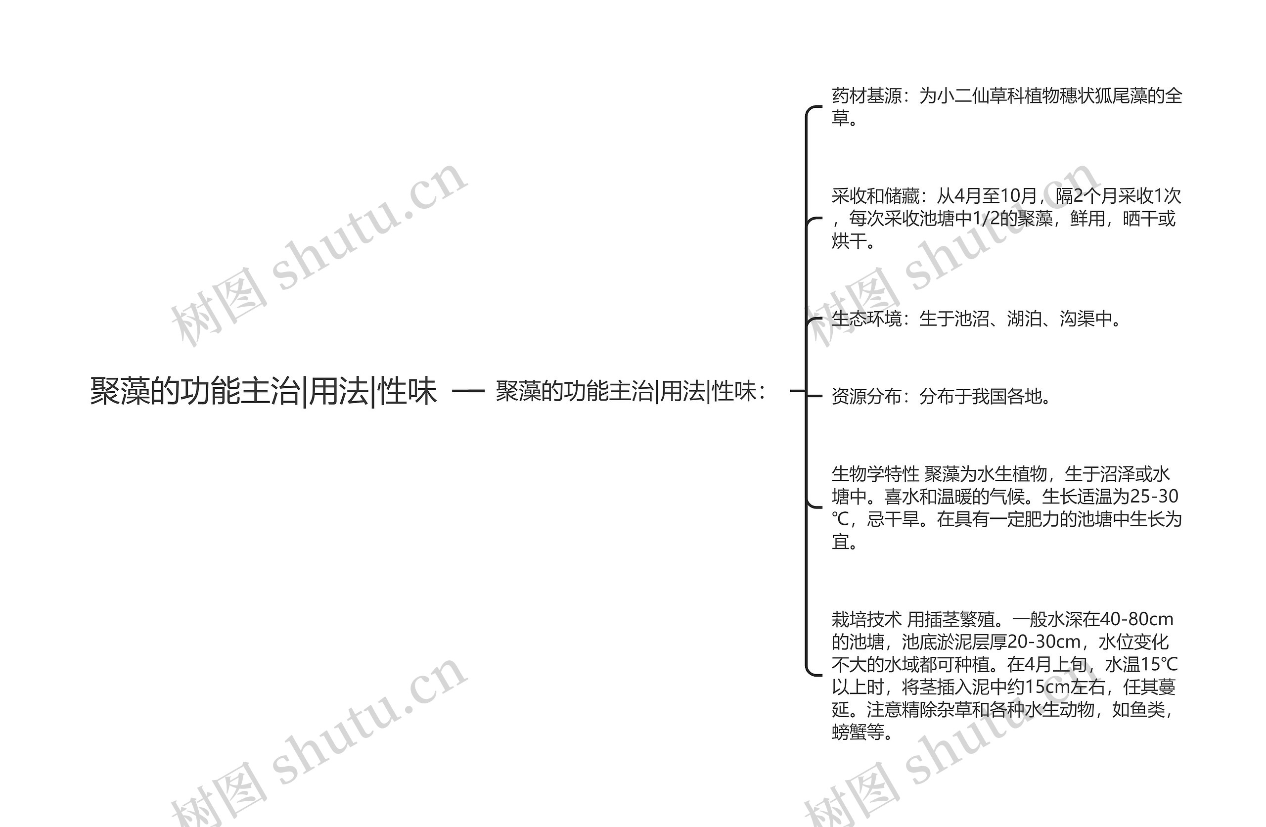 聚藻的功能主治|用法|性味