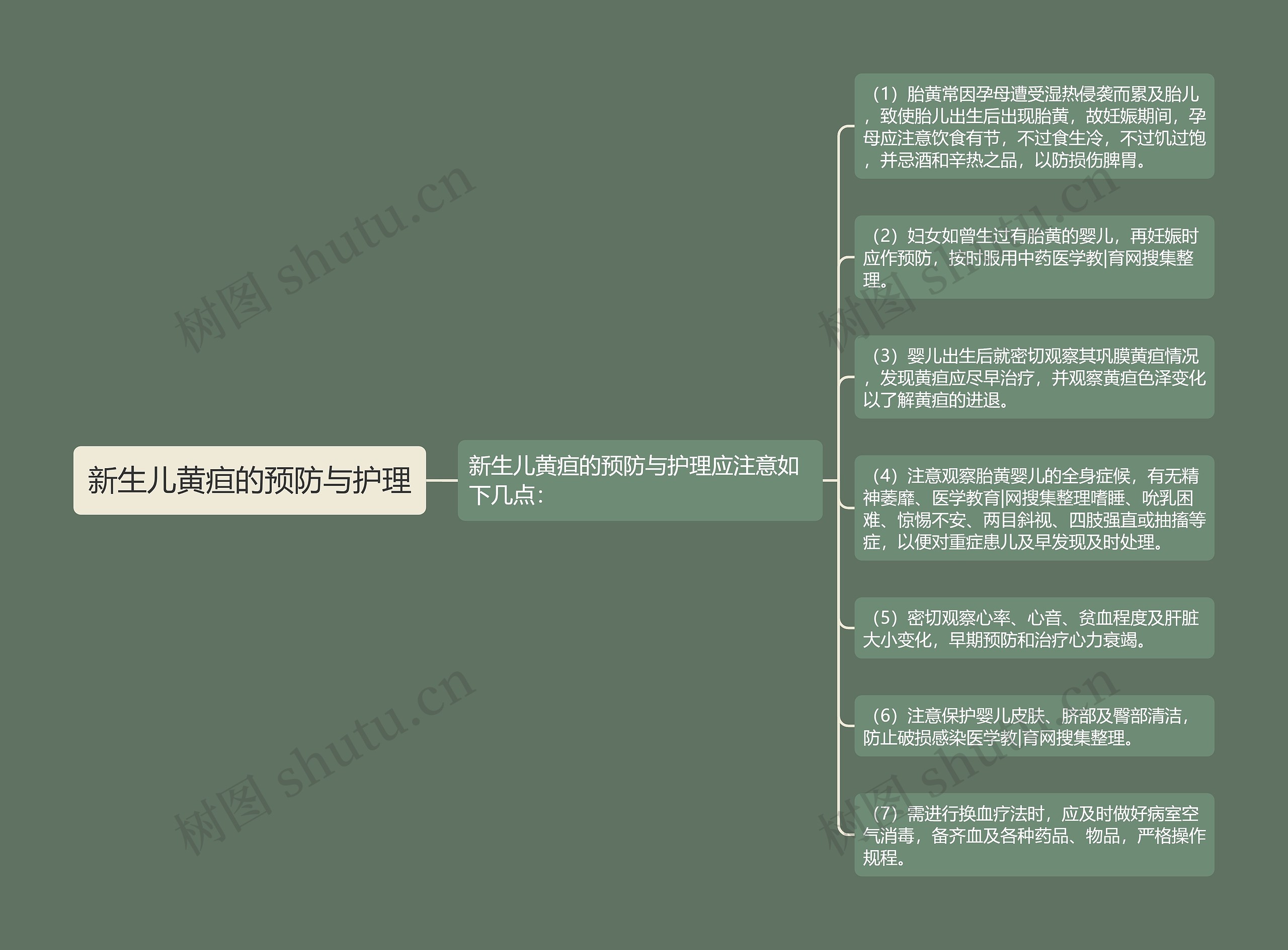 新生儿黄疸的预防与护理思维导图