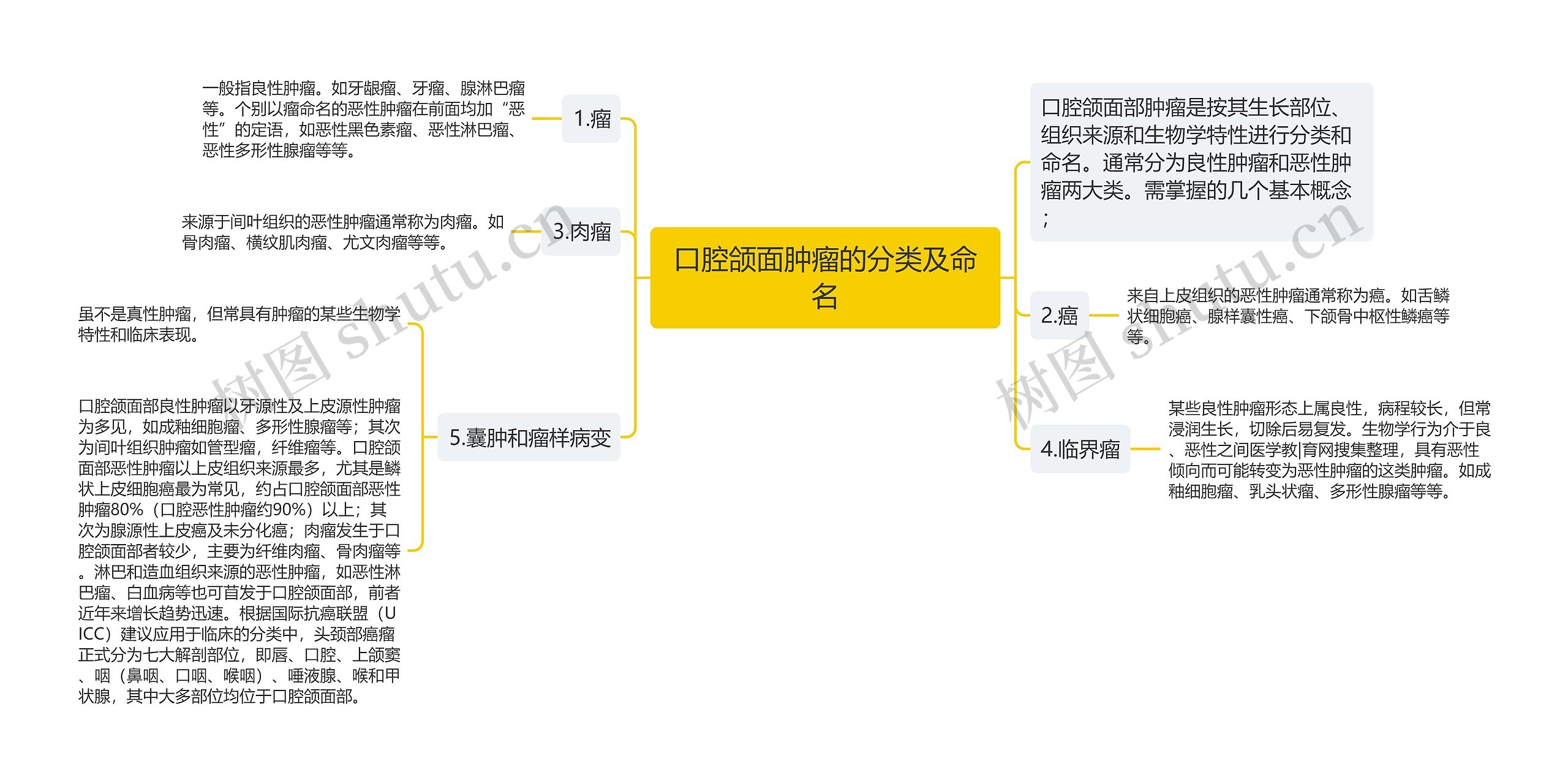 口腔颌面肿瘤的分类及命名