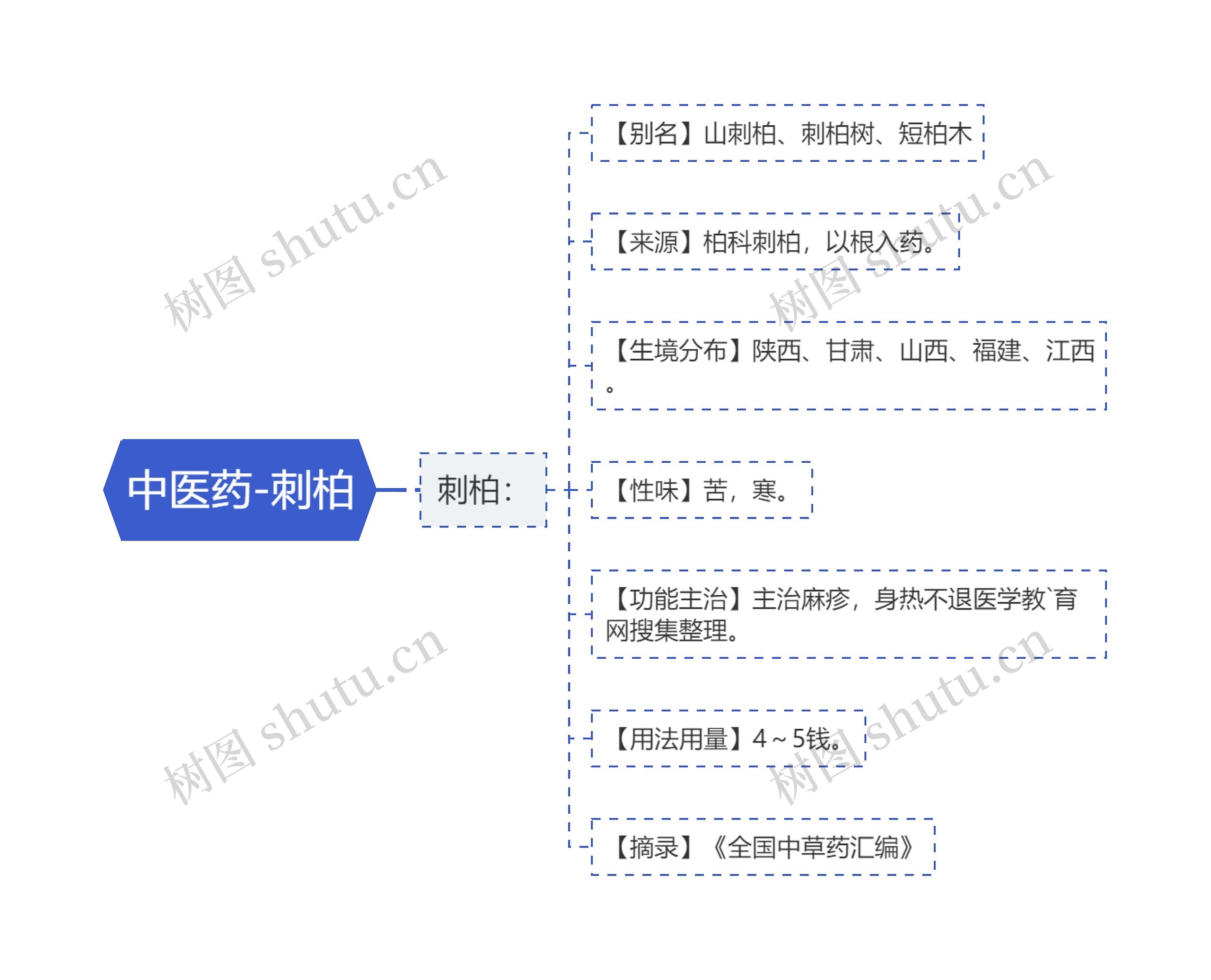 中医药-刺柏思维导图