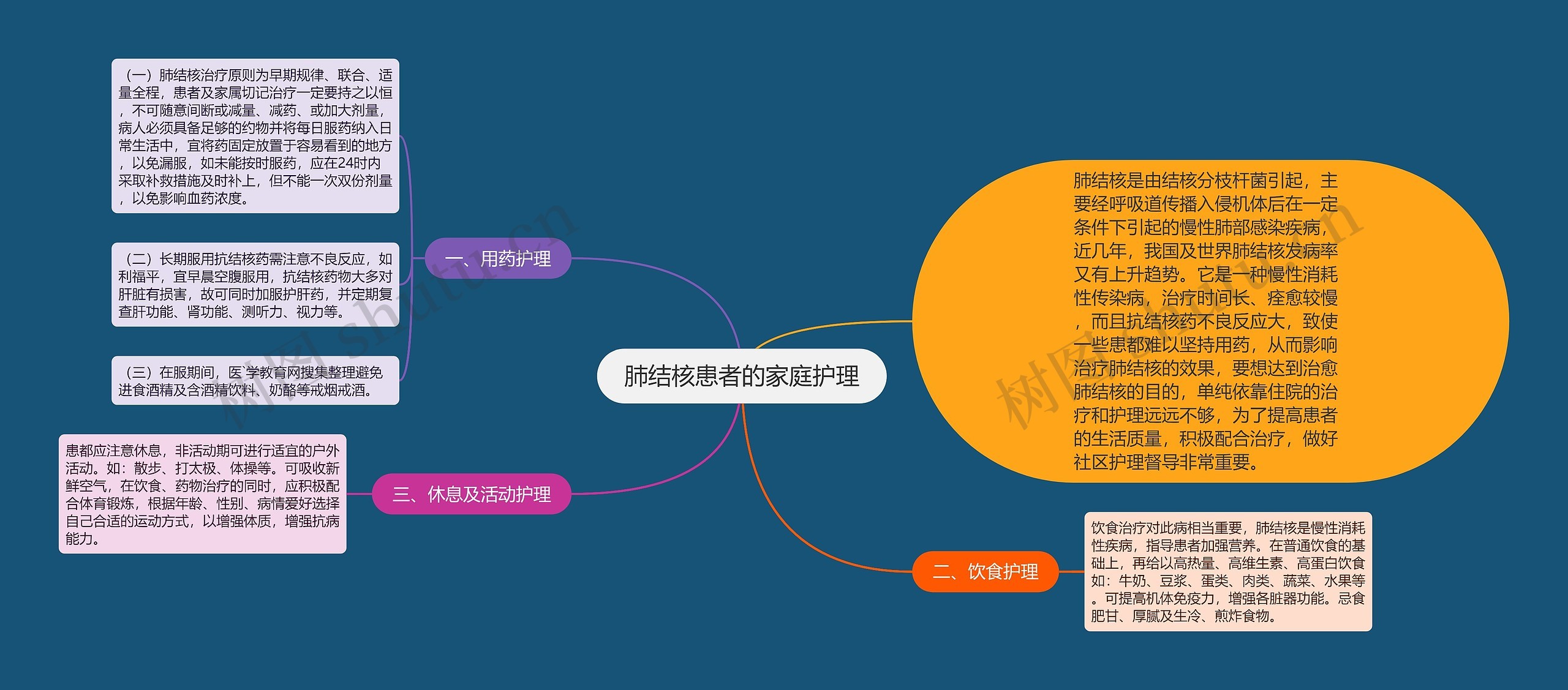 肺结核患者的家庭护理思维导图