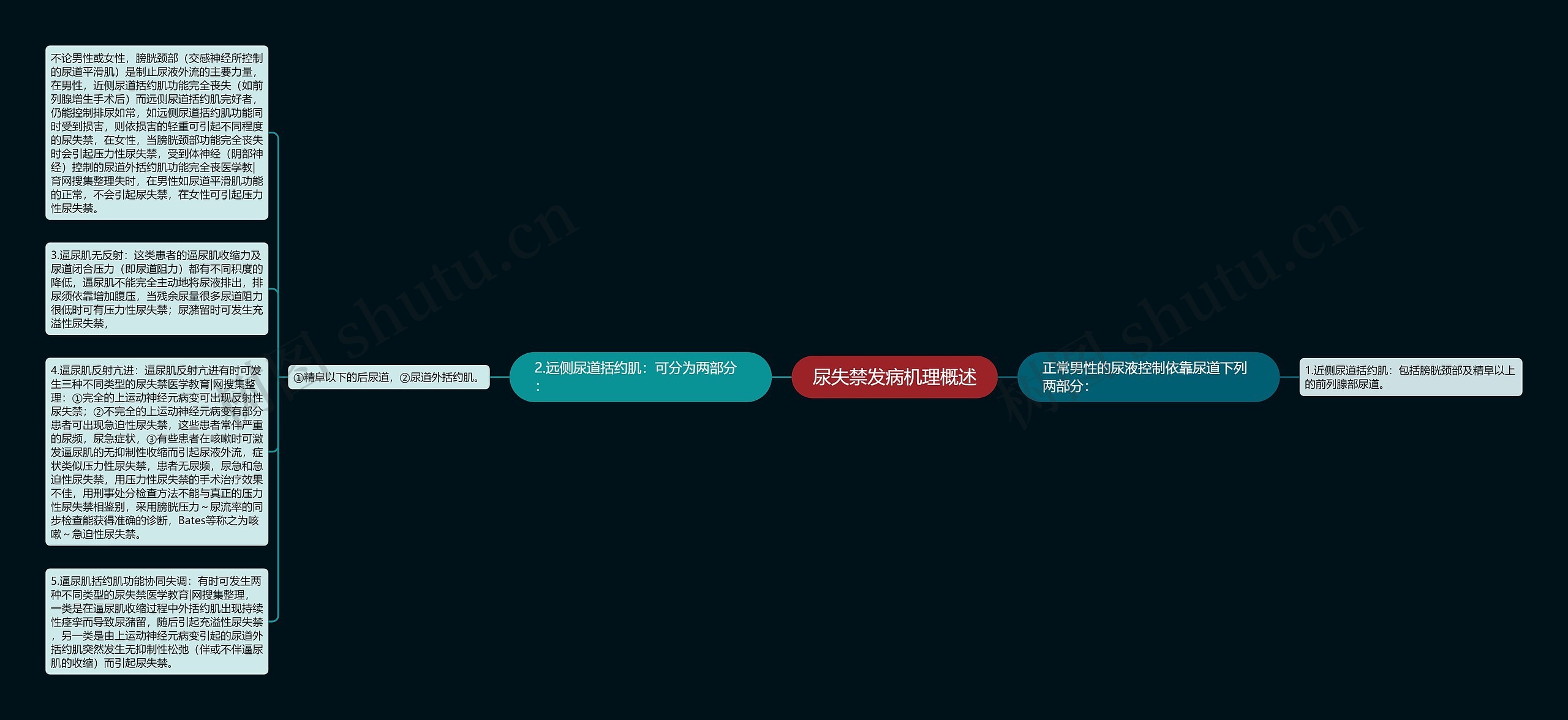 尿失禁发病机理概述思维导图