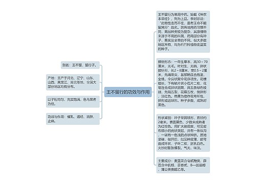 王不留行的功效与作用