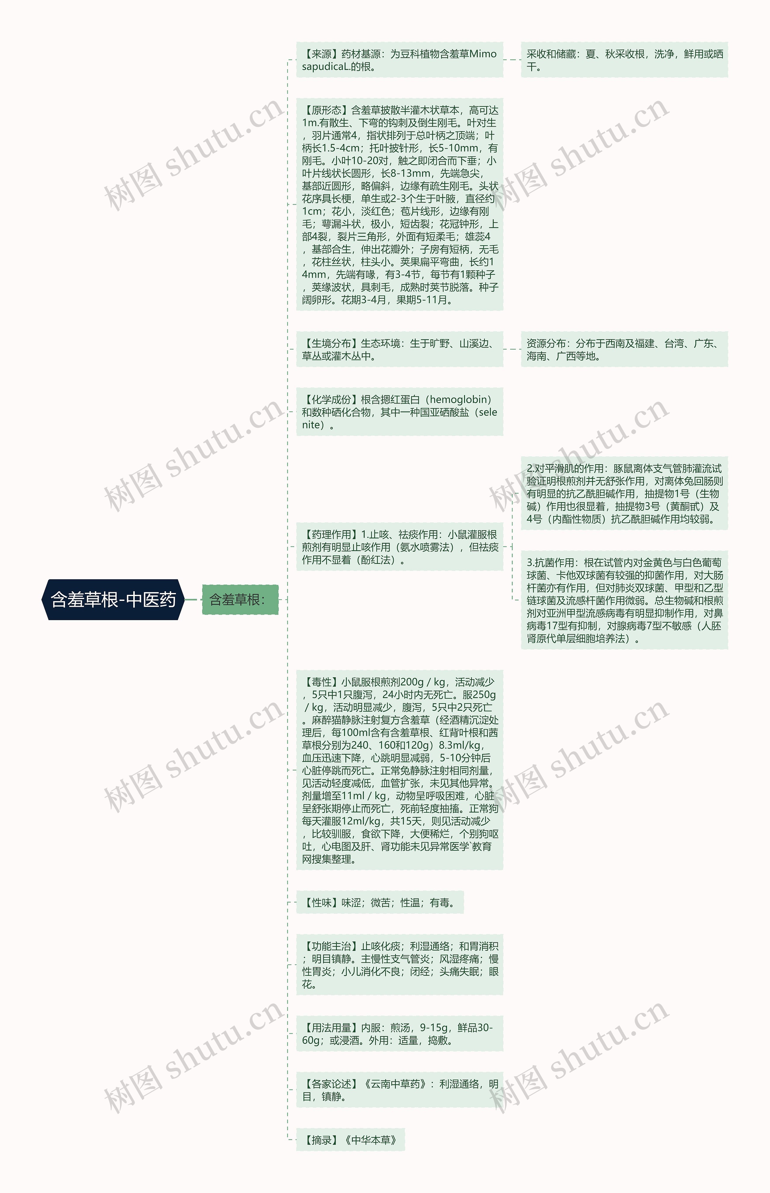 含羞草根-中医药思维导图