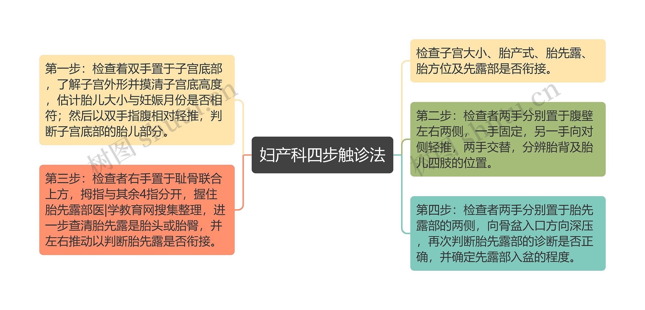 妇产科四步触诊法思维导图