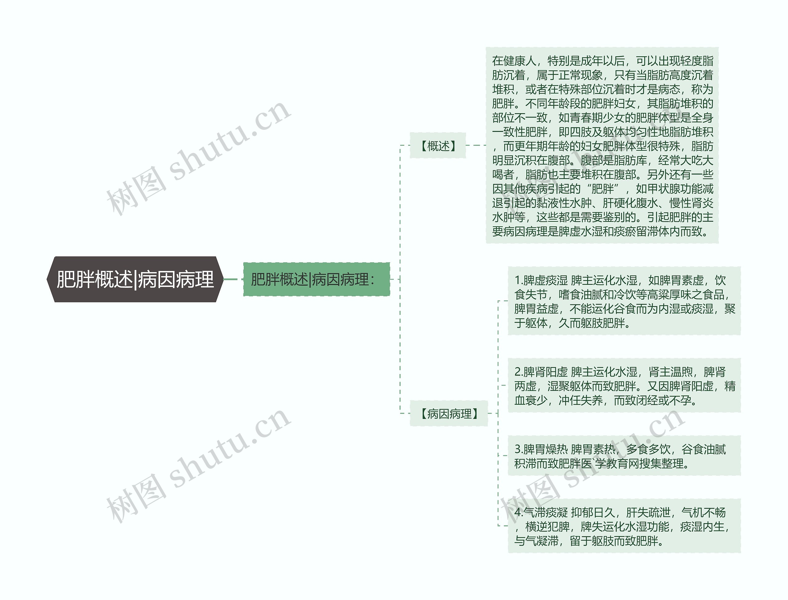 肥胖概述|病因病理思维导图