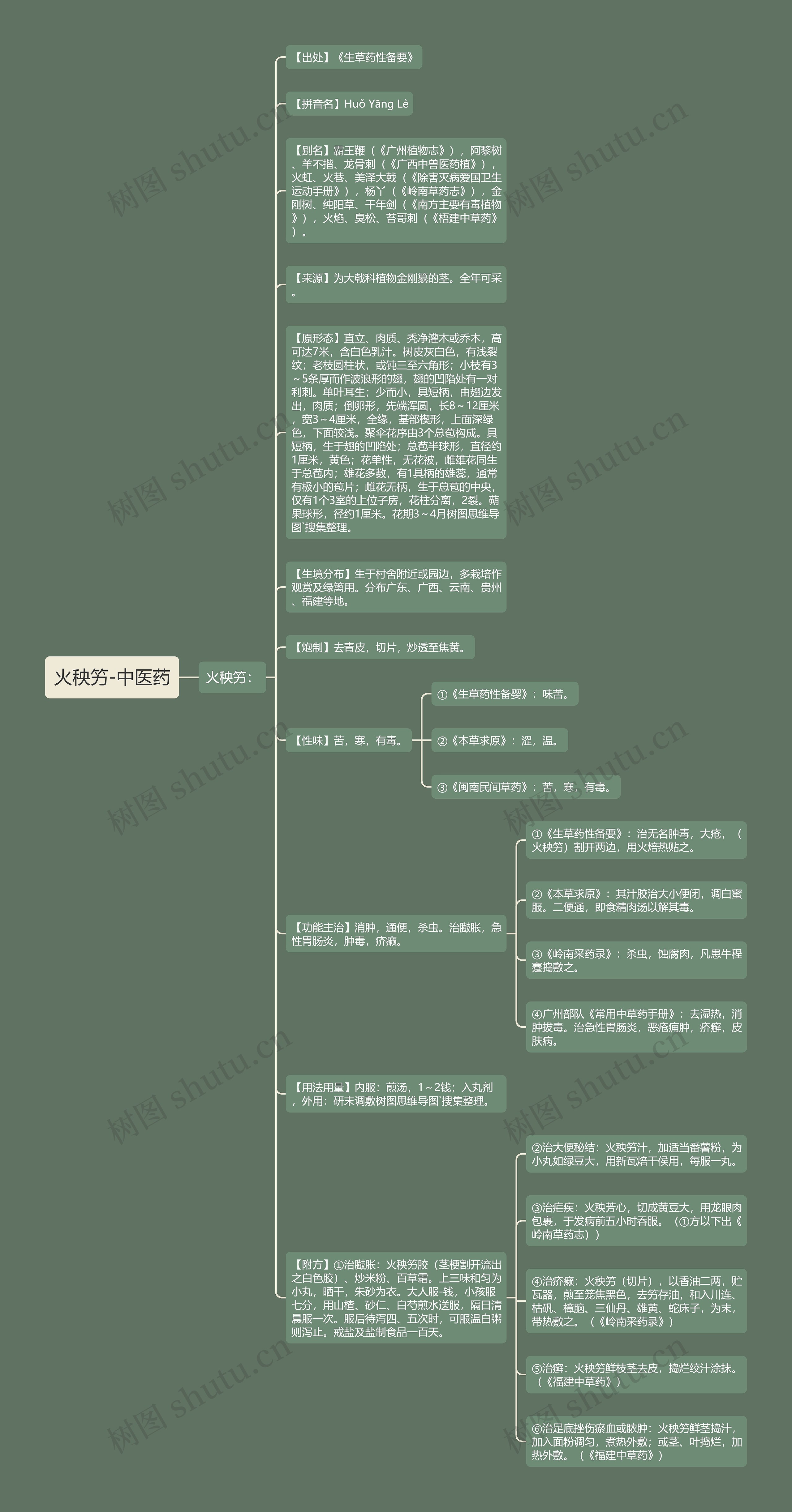 火秧竻-中医药思维导图