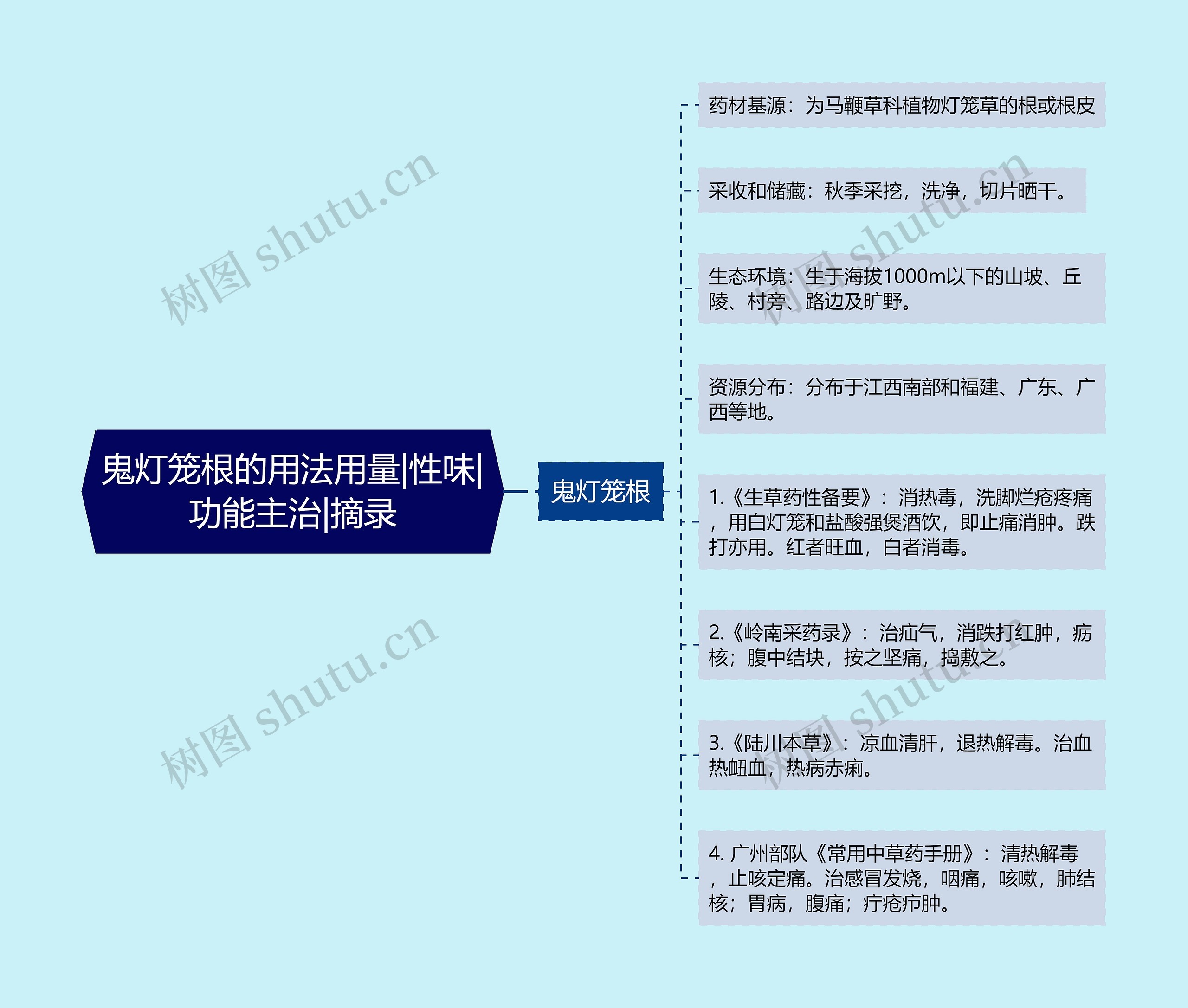 鬼灯笼根的用法用量|性味|功能主治|摘录思维导图