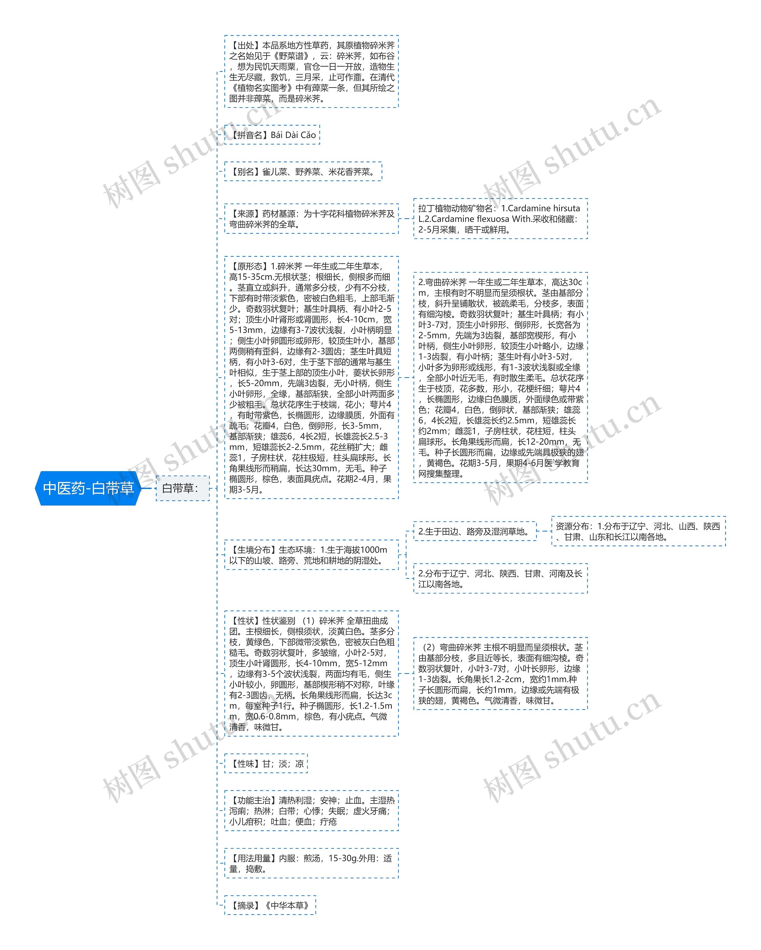中医药-白带草思维导图