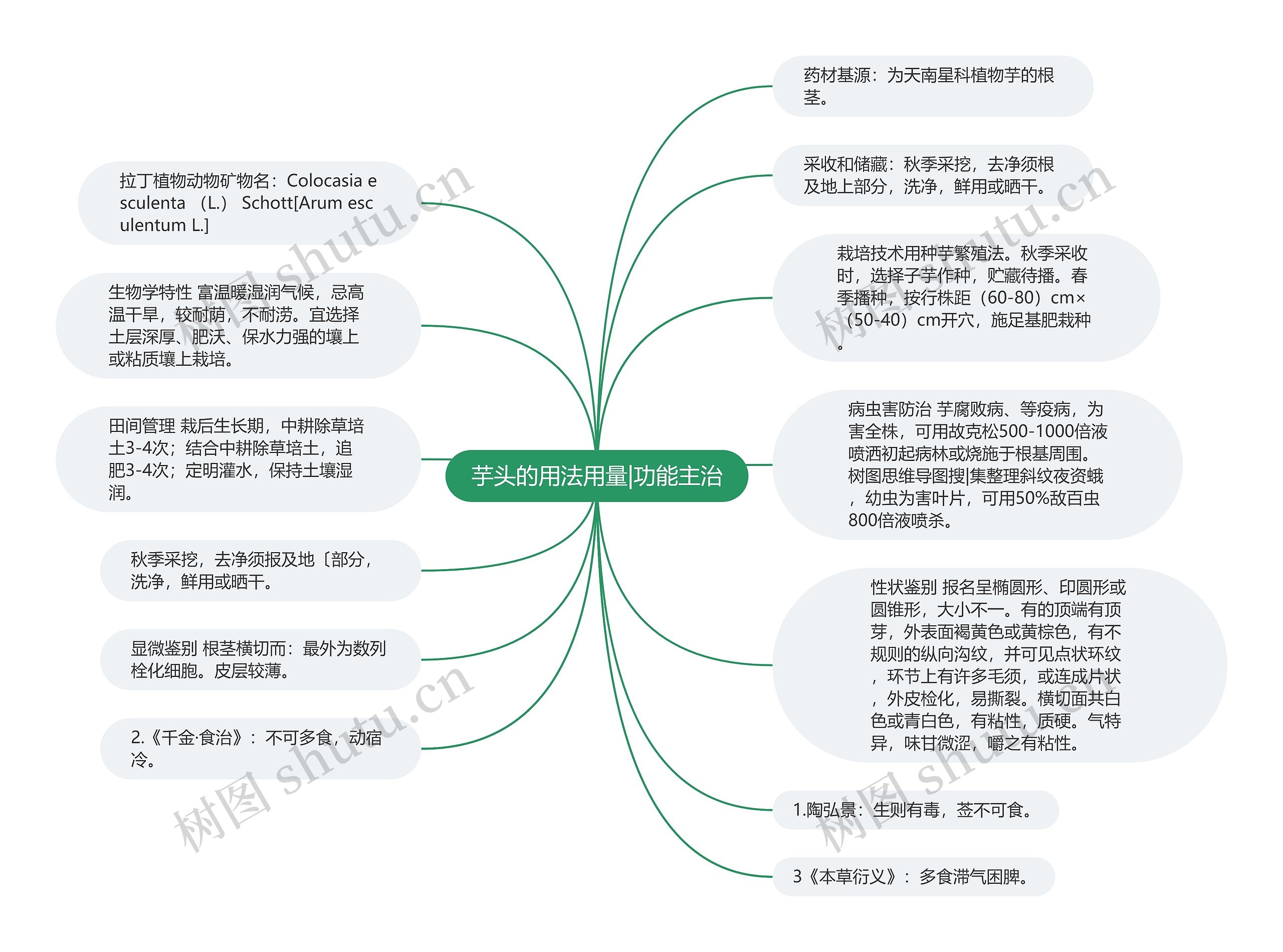 芋头的用法用量|功能主治思维导图