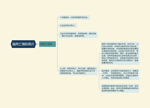 脑死亡指标简介