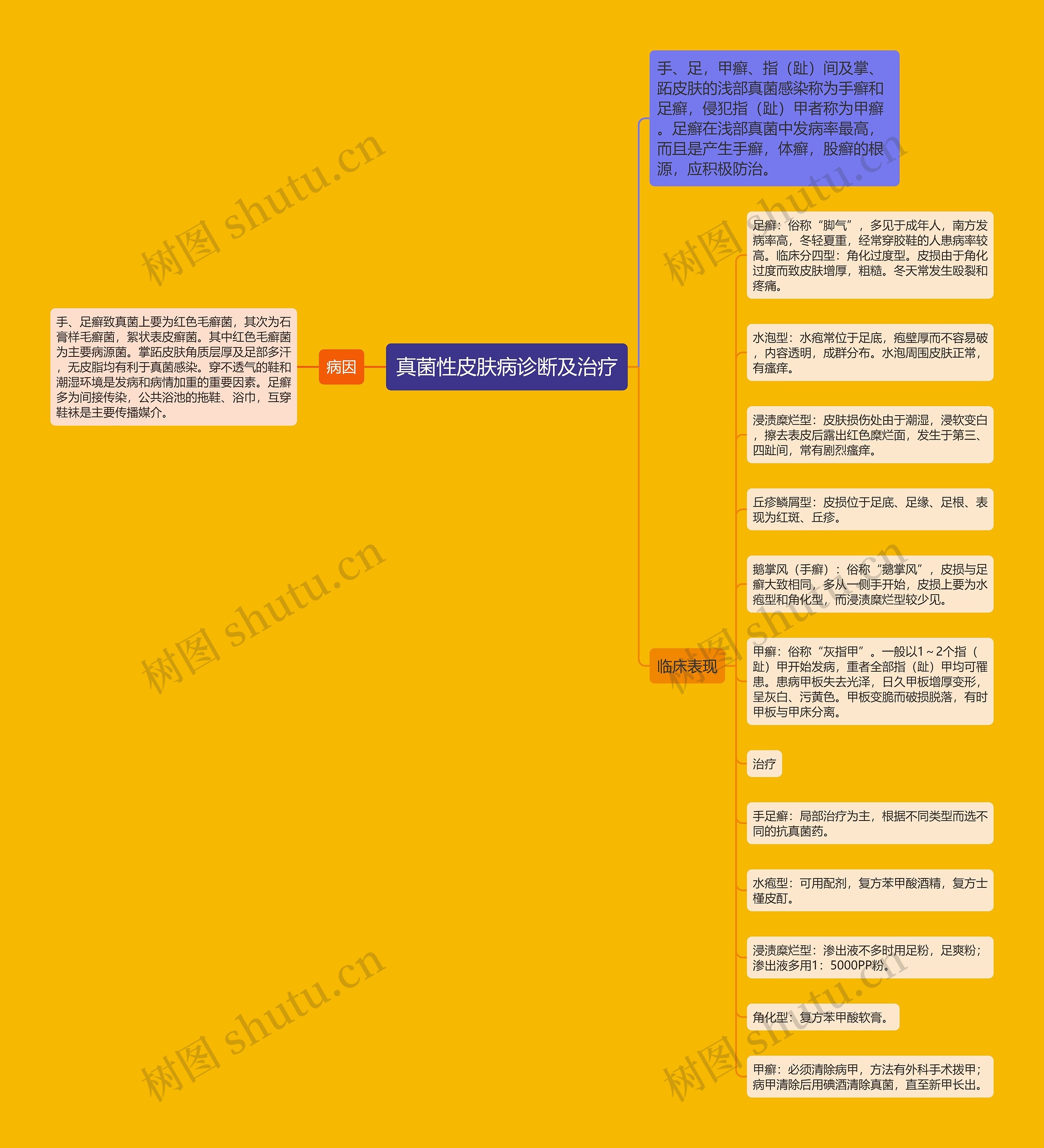 真菌性皮肤病诊断及治疗