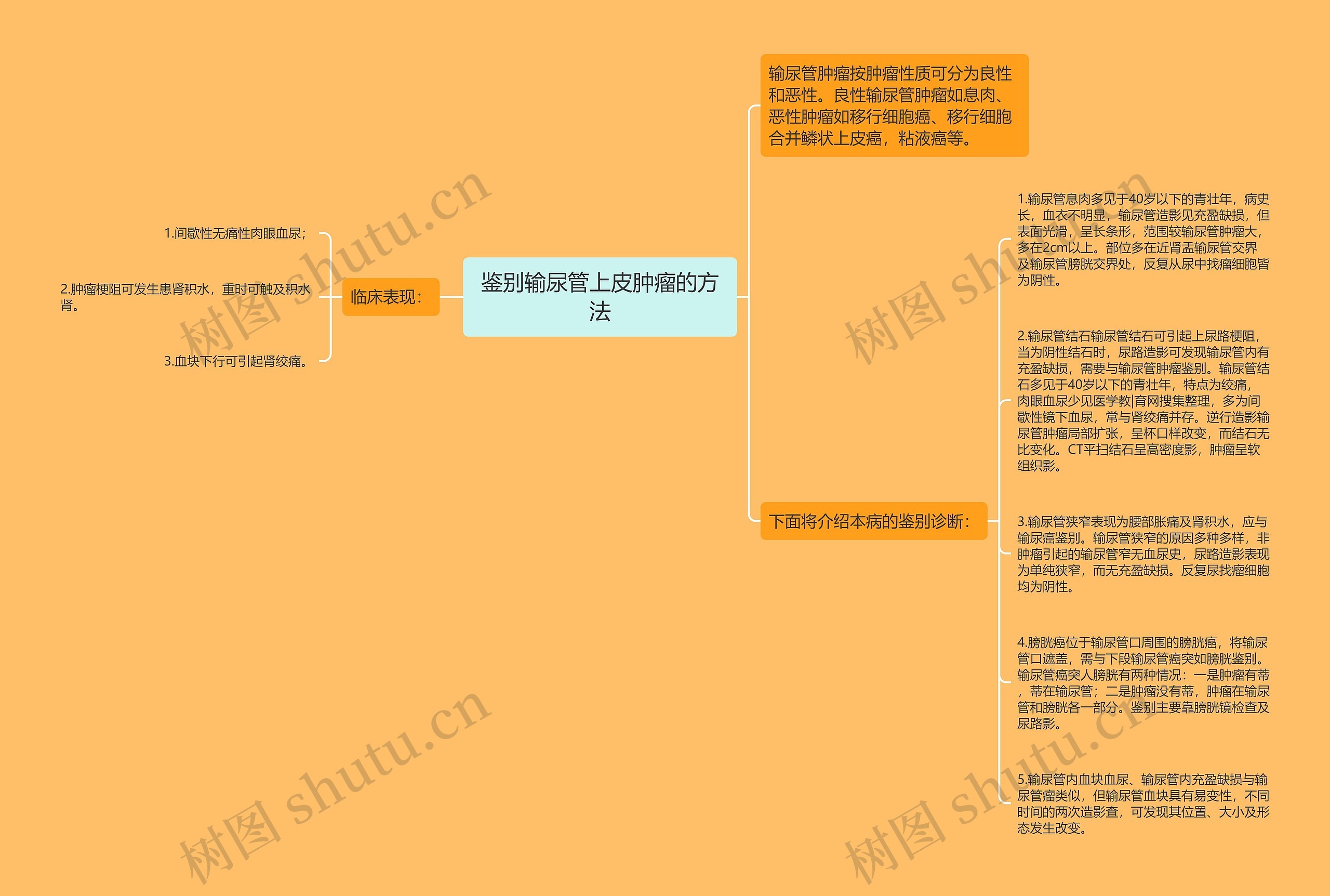 鉴别输尿管上皮肿瘤的方法