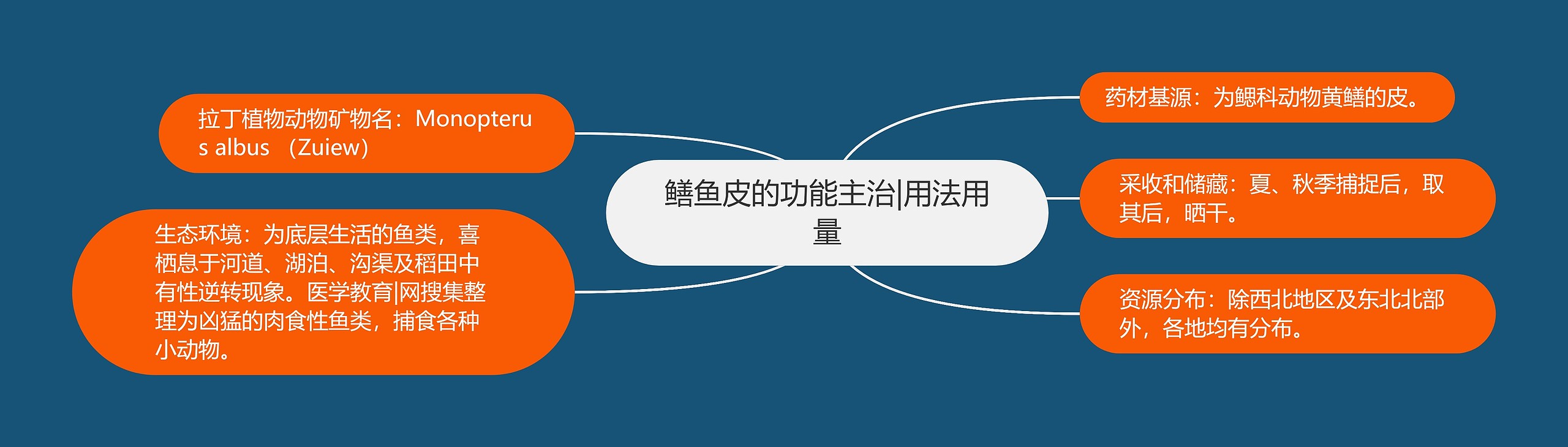 鳝鱼皮的功能主治|用法用量