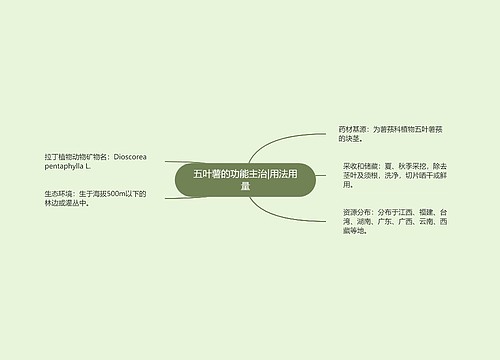 五叶薯的功能主治|用法用量