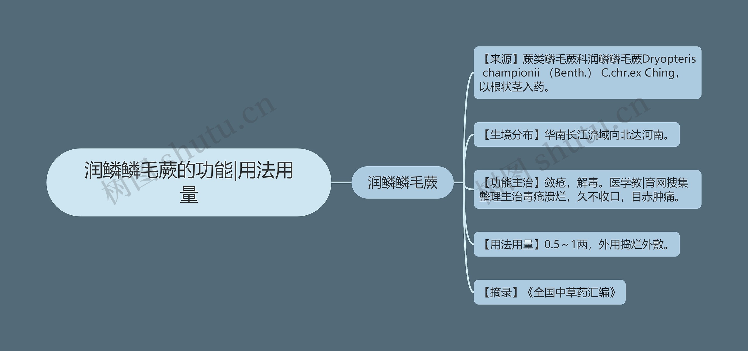 润鳞鳞毛蕨的功能|用法用量思维导图