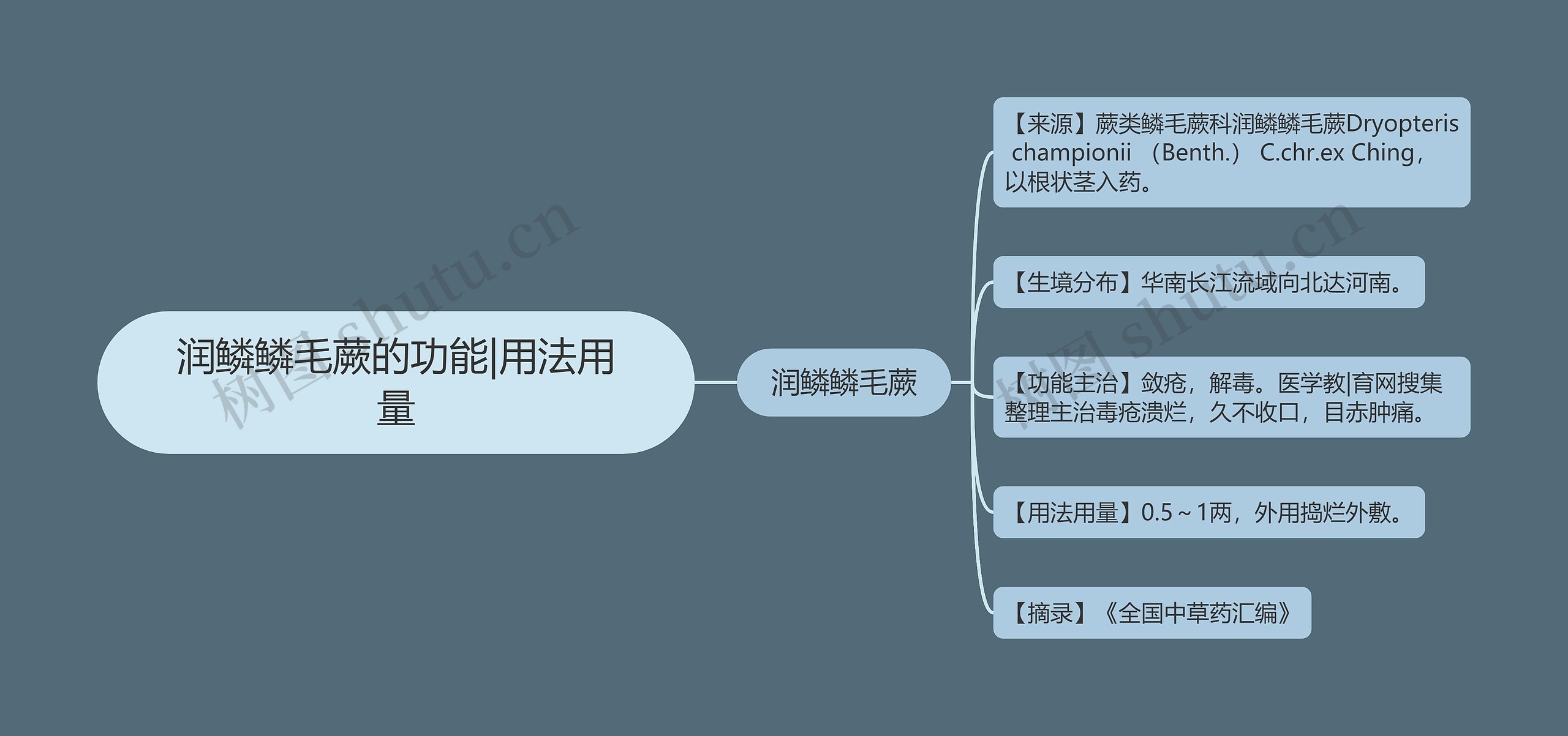 润鳞鳞毛蕨的功能|用法用量 润鳞鳞毛蕨的功能|用法用量