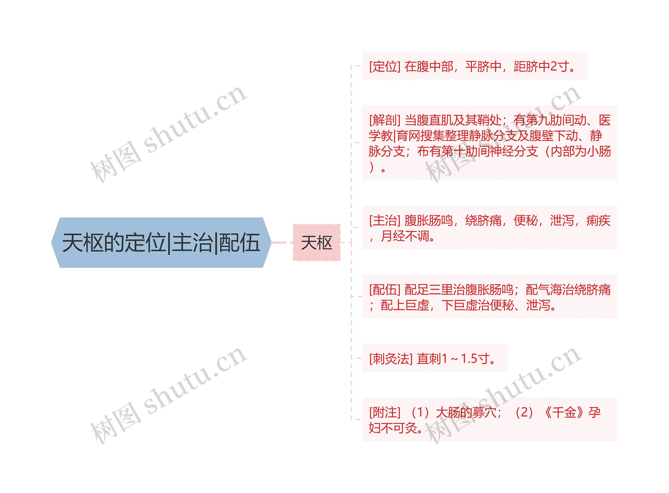 天枢的定位|主治|配伍思维导图