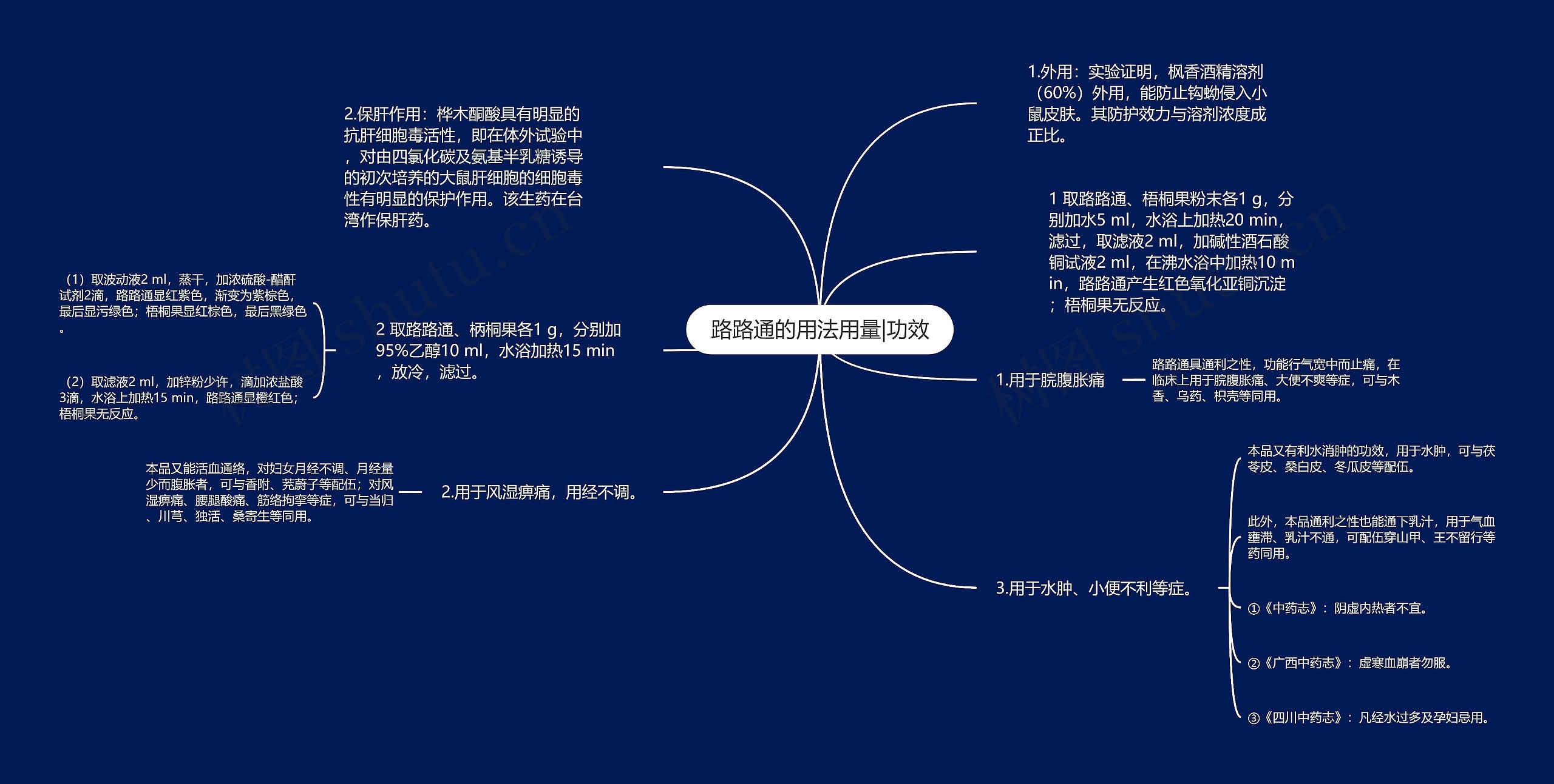 路路通的用法用量|功效思维导图