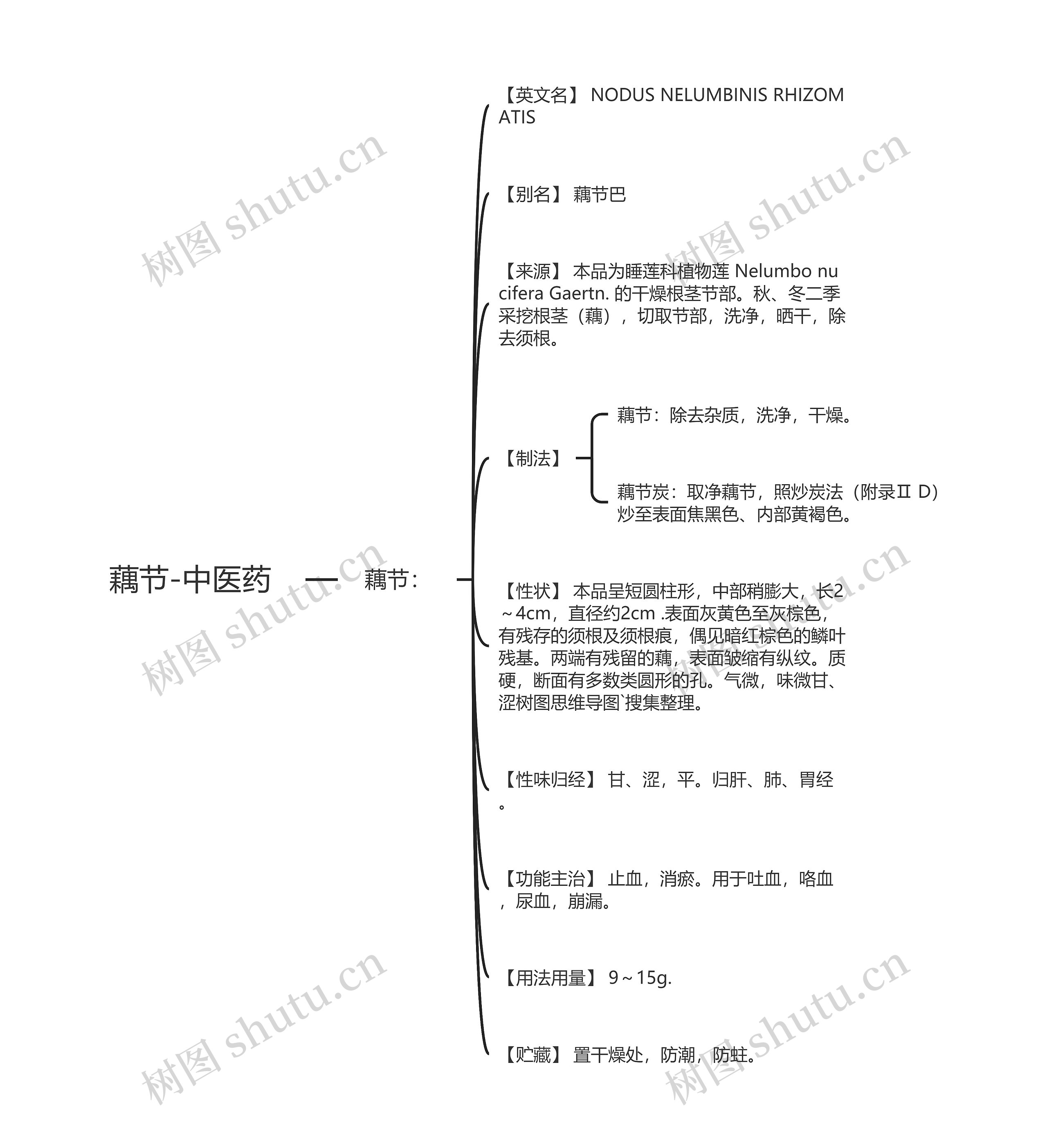 藕节-中医药思维导图