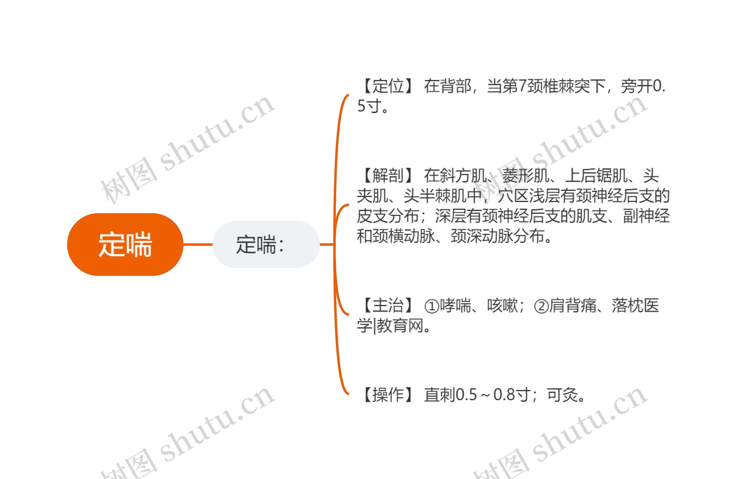 定喘思维导图