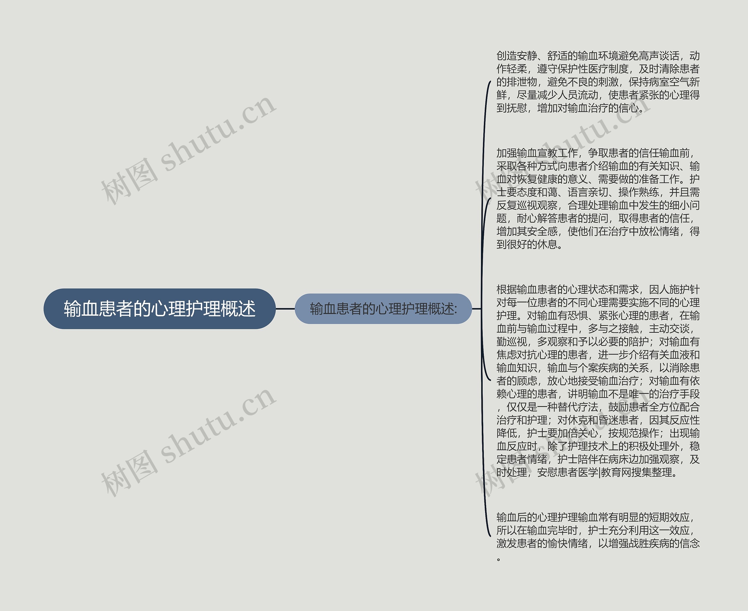 输血患者的心理护理概述思维导图