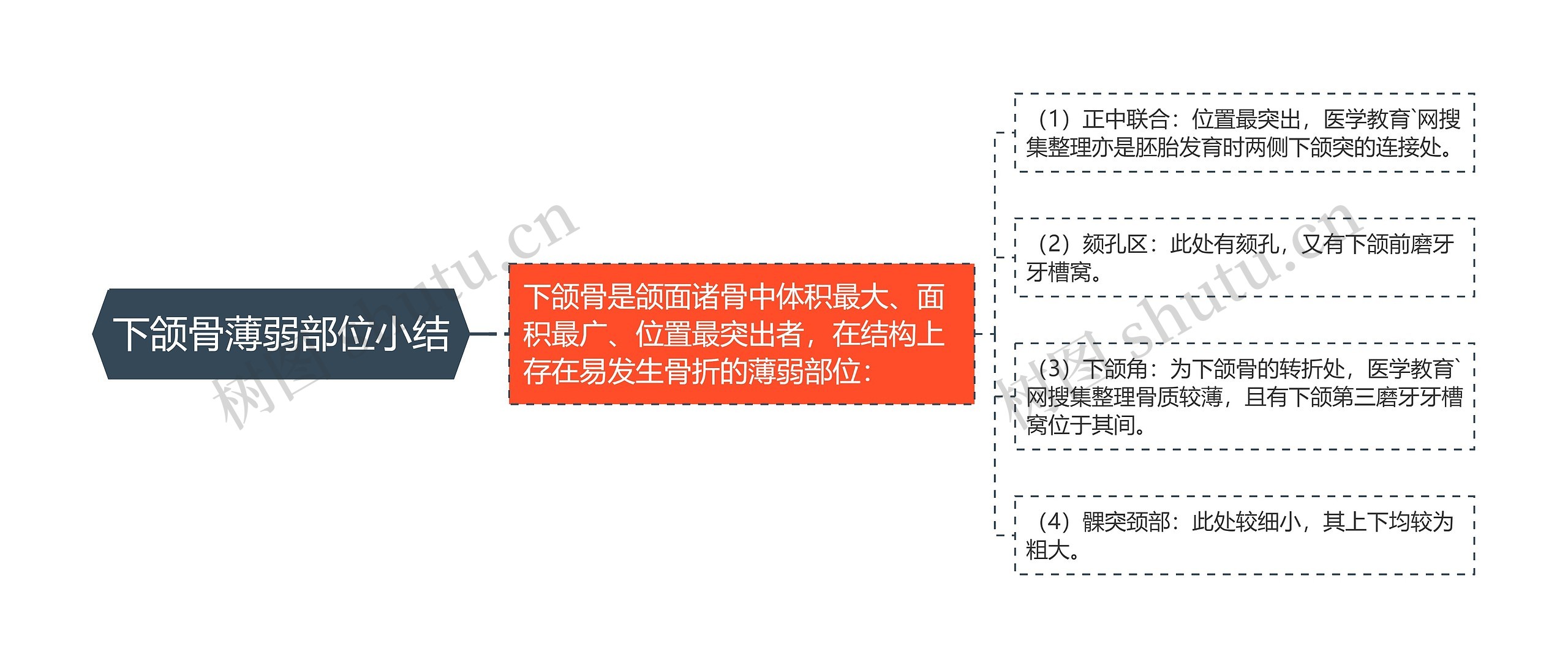 下颌骨薄弱部位小结思维导图