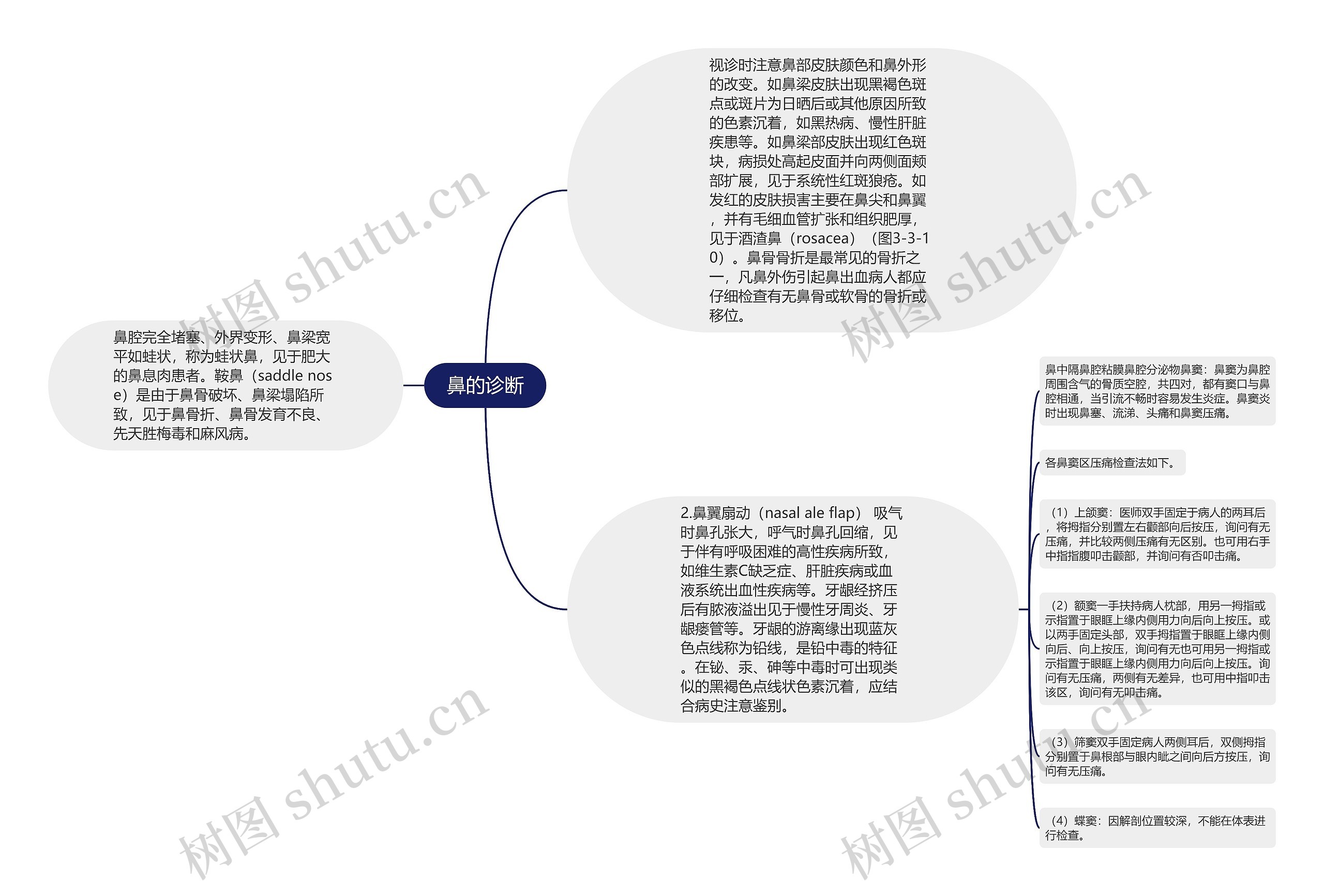 鼻的诊断思维导图