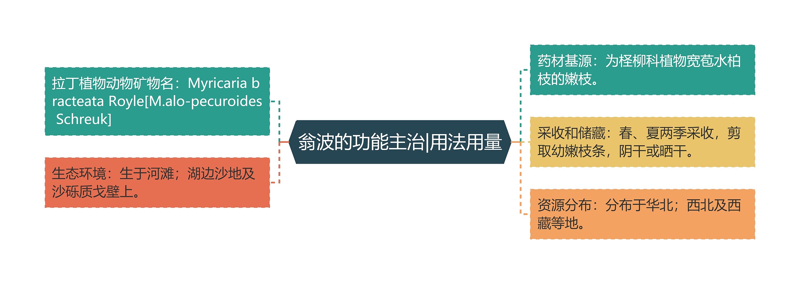 翁波的功能主治|用法用量 翁波的功能主治|用法用量