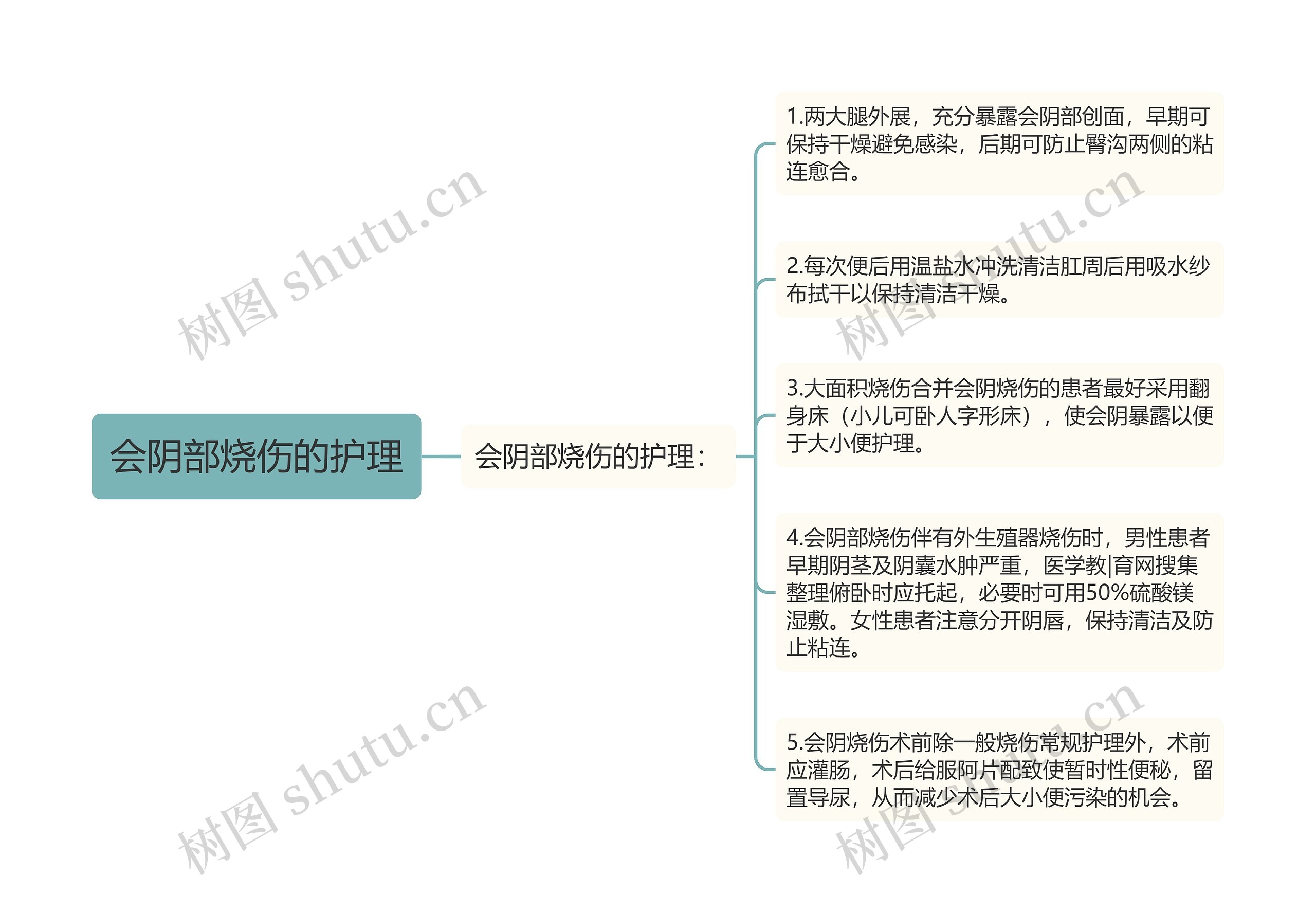 会阴部烧伤的护理思维导图