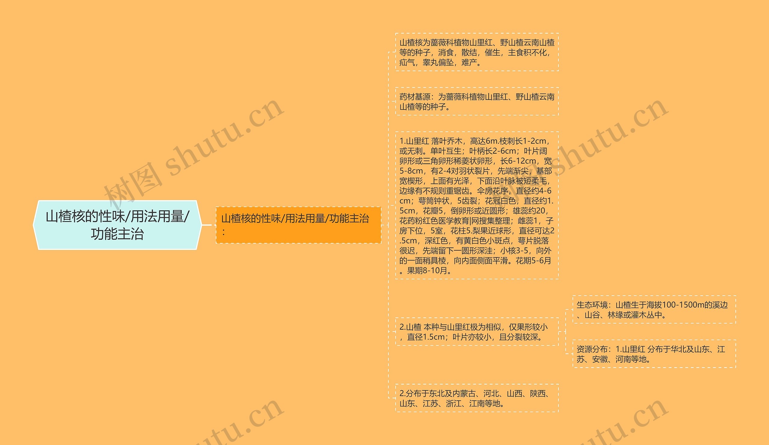 山楂核的性味/用法用量/功能主治思维导图