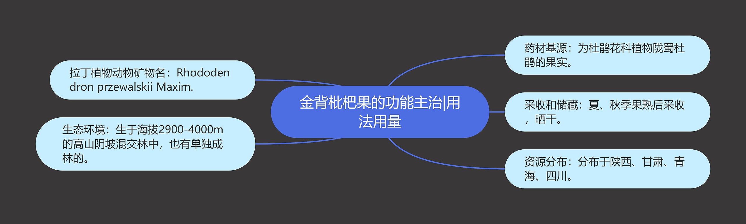 金背枇杷果的功能主治|用法用量思维导图