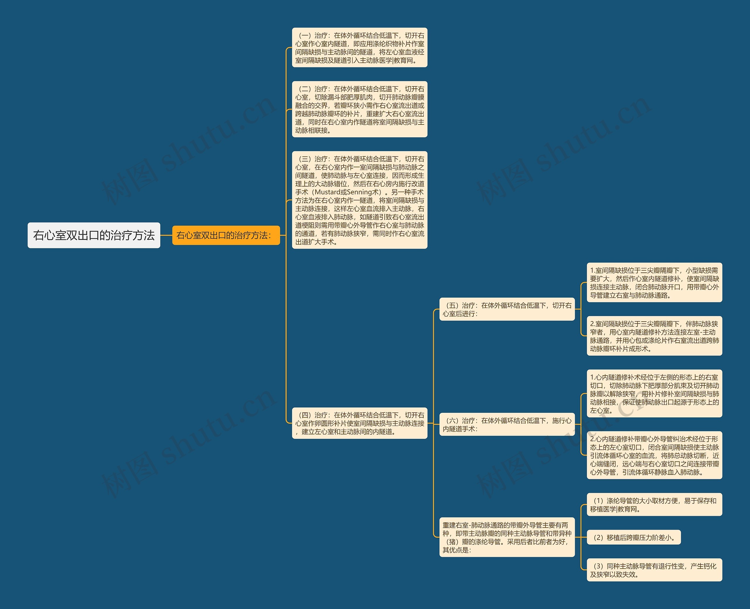 右心室双出口的治疗方法思维导图