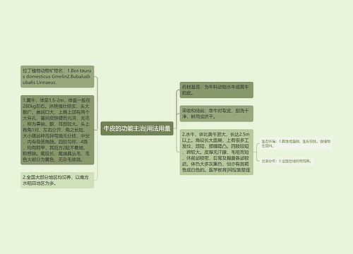 牛皮的功能主治|用法用量