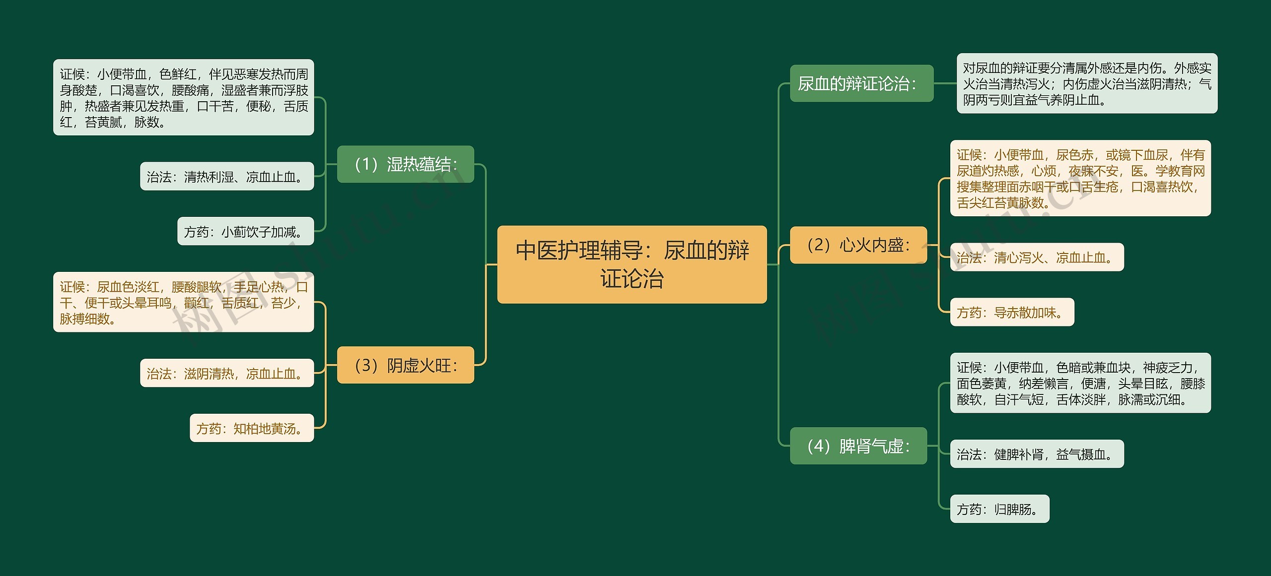 中医护理辅导：尿血的辩证论治思维导图