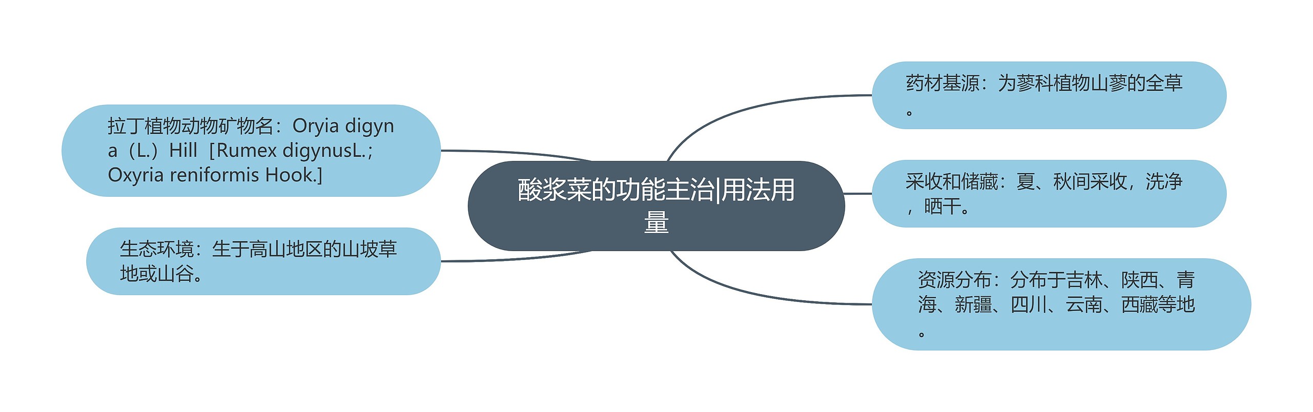 酸浆菜的功能主治|用法用量