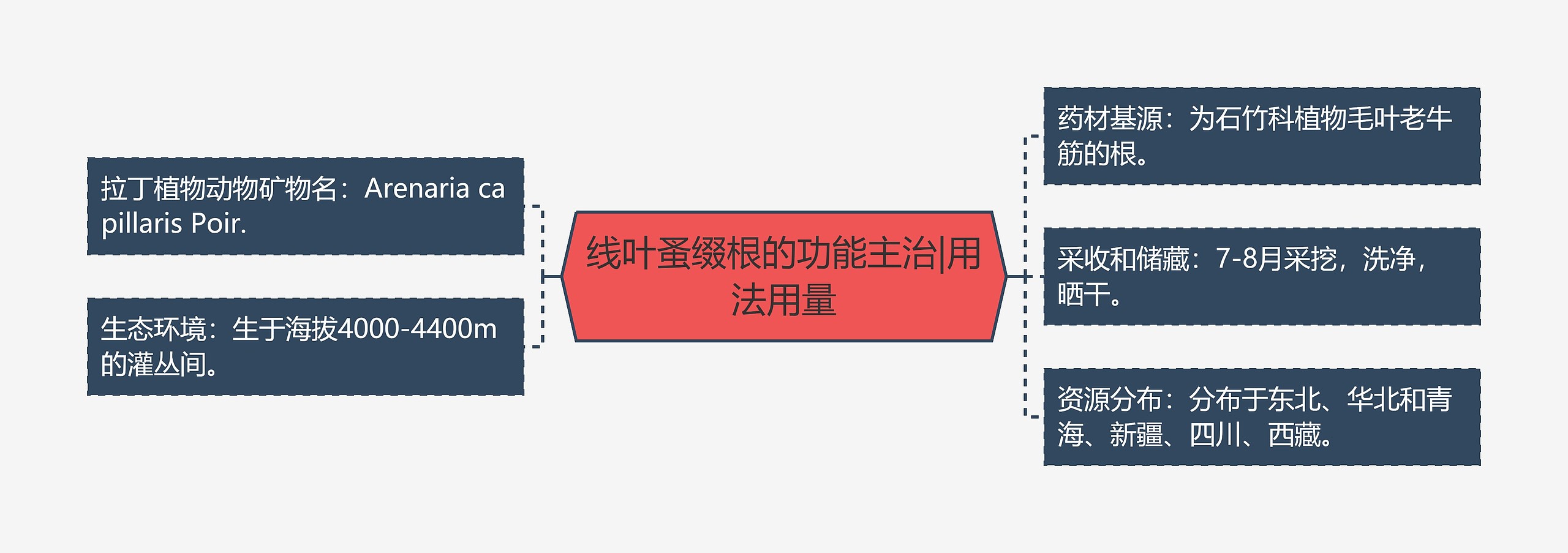 线叶蚤缀根的功能主治|用法用量 线叶蚤缀根的功能主治|用法用量